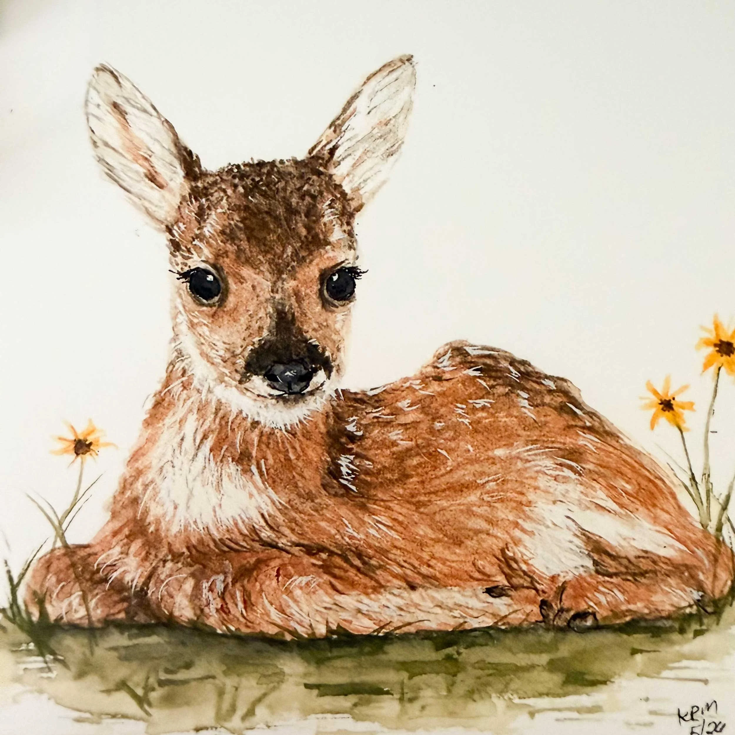 young-fawn-laying-down_art-print_3.jpg