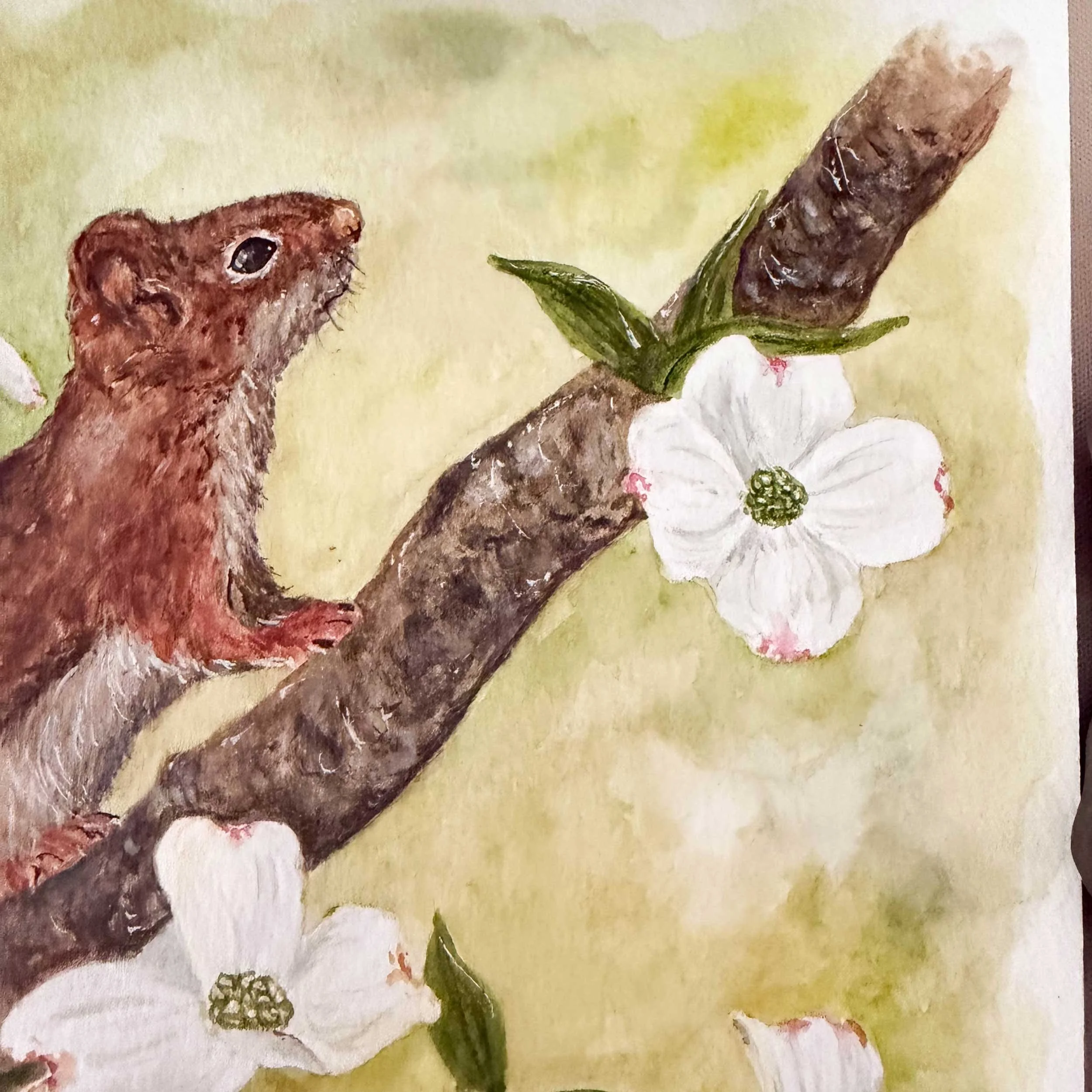 red-squirrel-dogwoods-painting_4.jpg