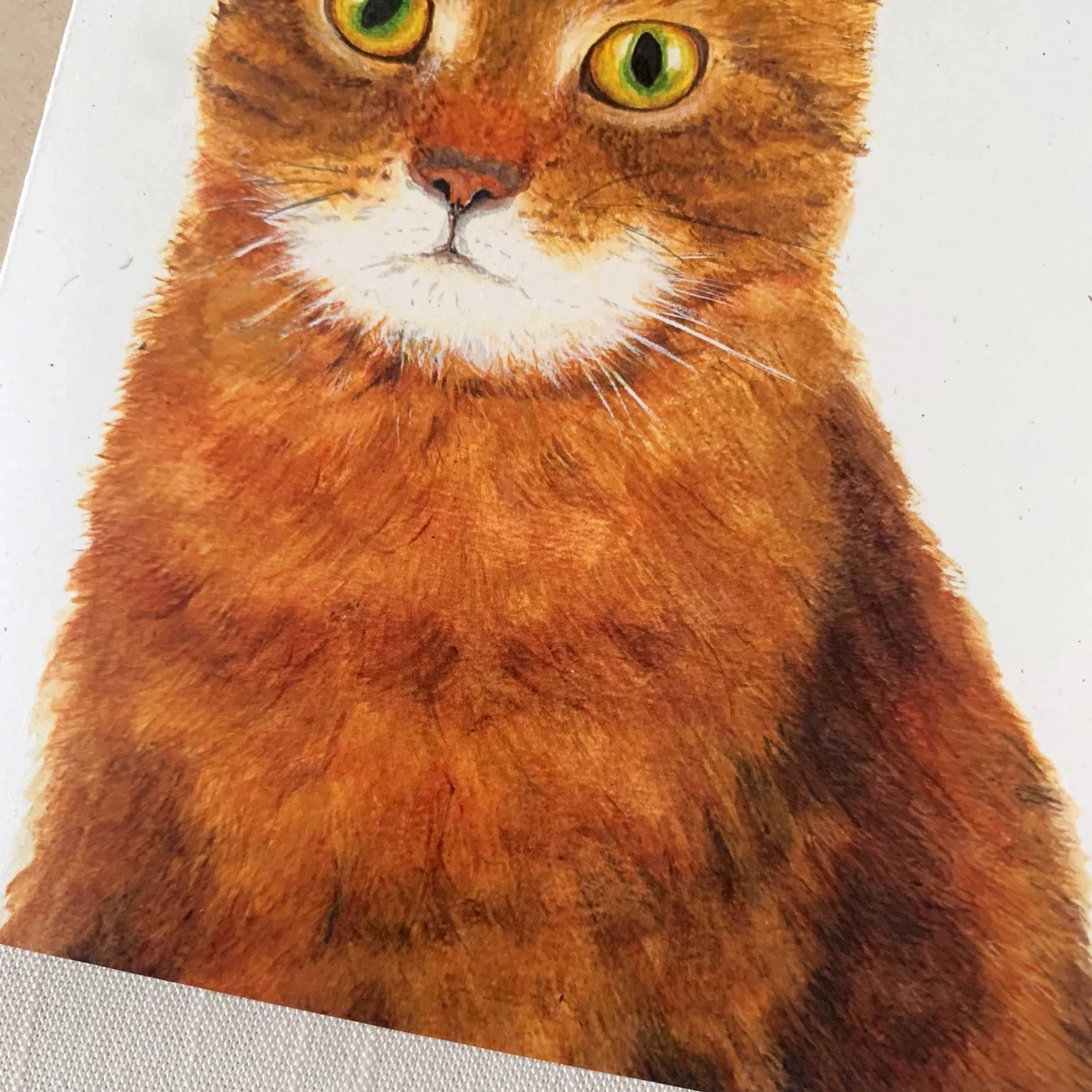 orange-tabby-cat-greeting-card_4.jpg