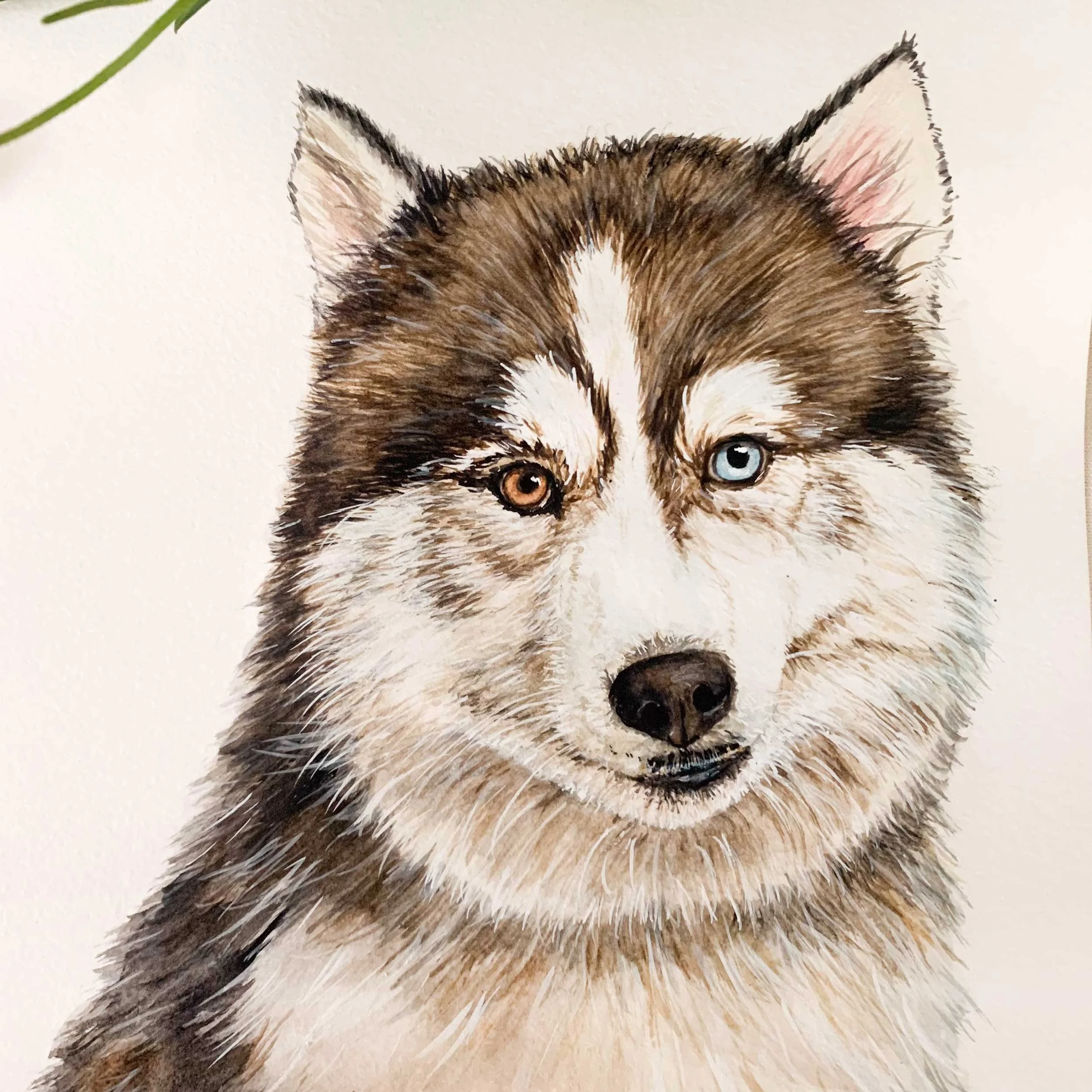 husky-blue-brown-eye-painting_3.jpg