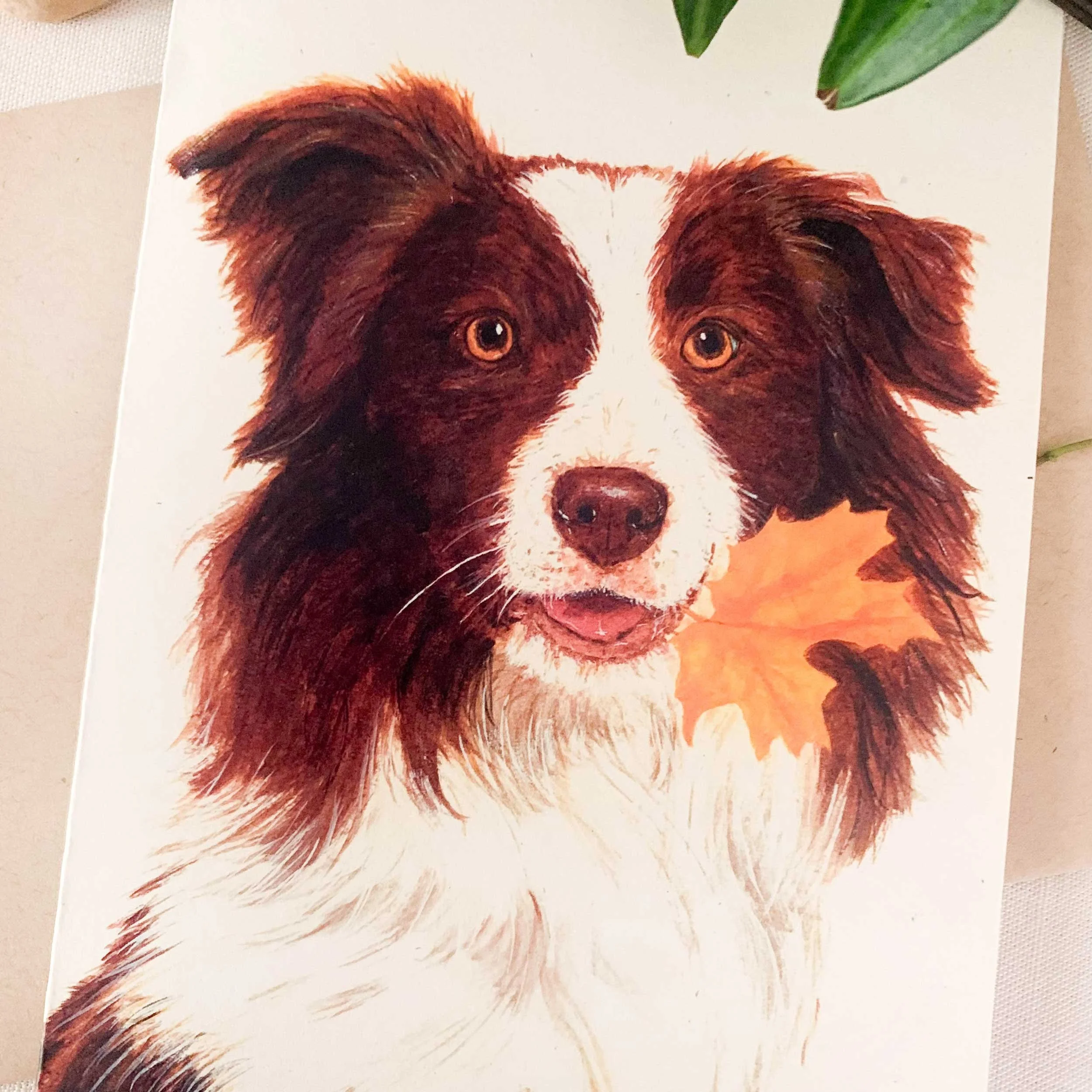 Border-collie-brown-leaf-greeting-card_2.jpg