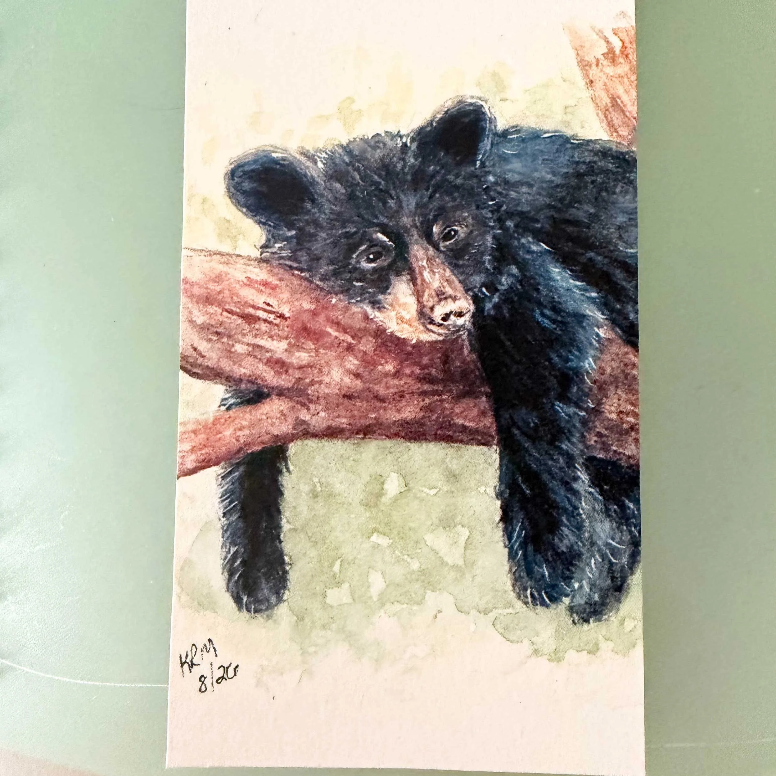 young-black-bear-tree-bookmark_4.jpg