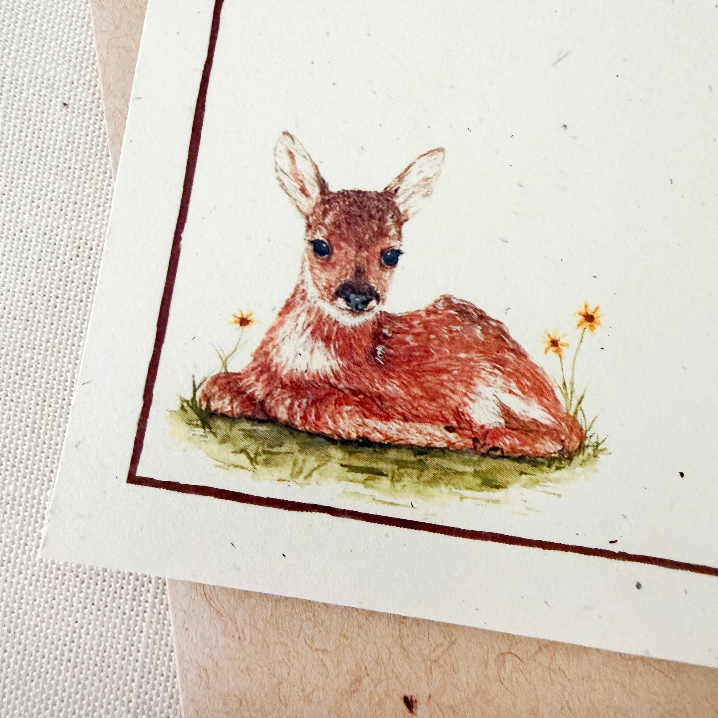 young-fawn-laying-down_notecard_3.jpg