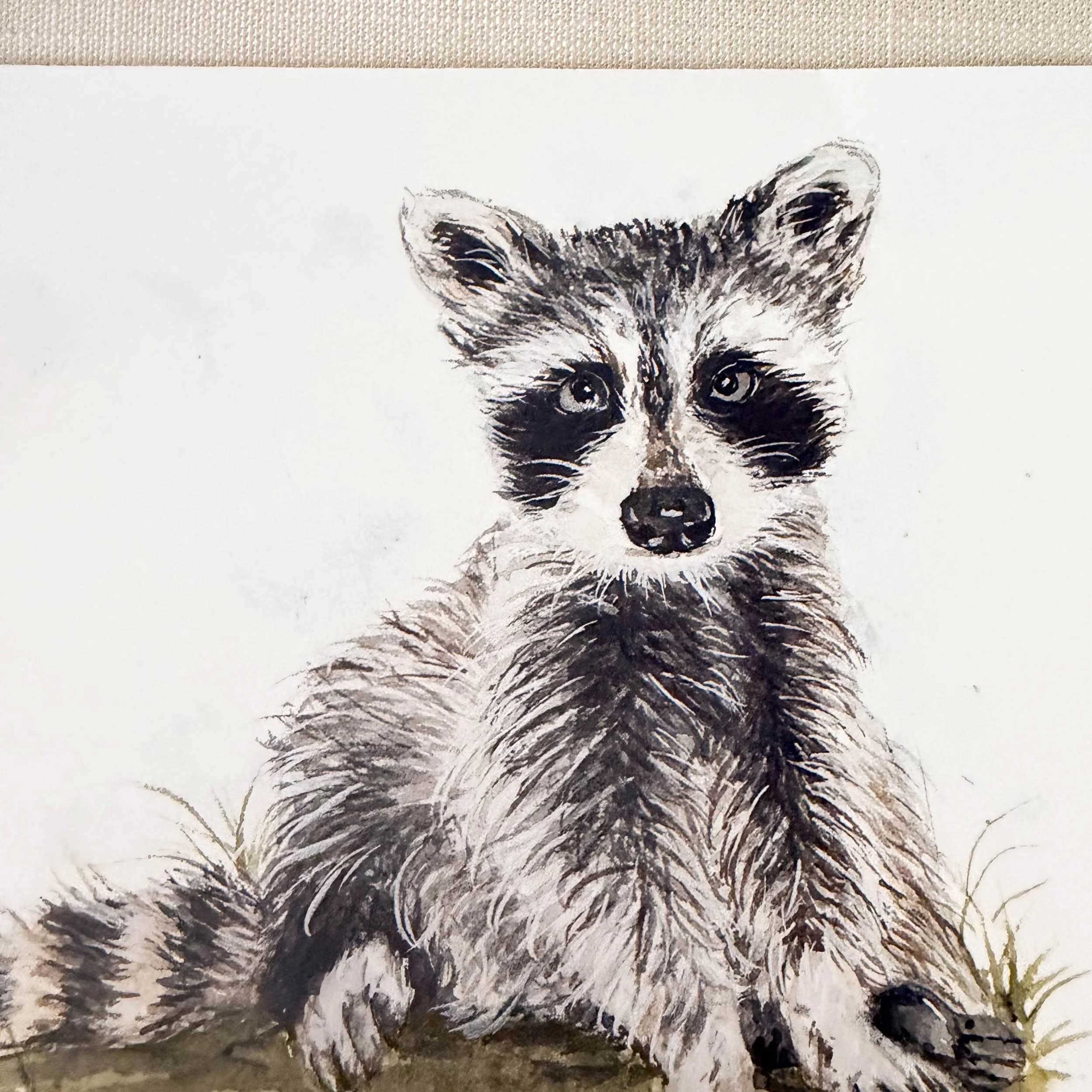 young-raccoon-grass-art-print_3.jpg