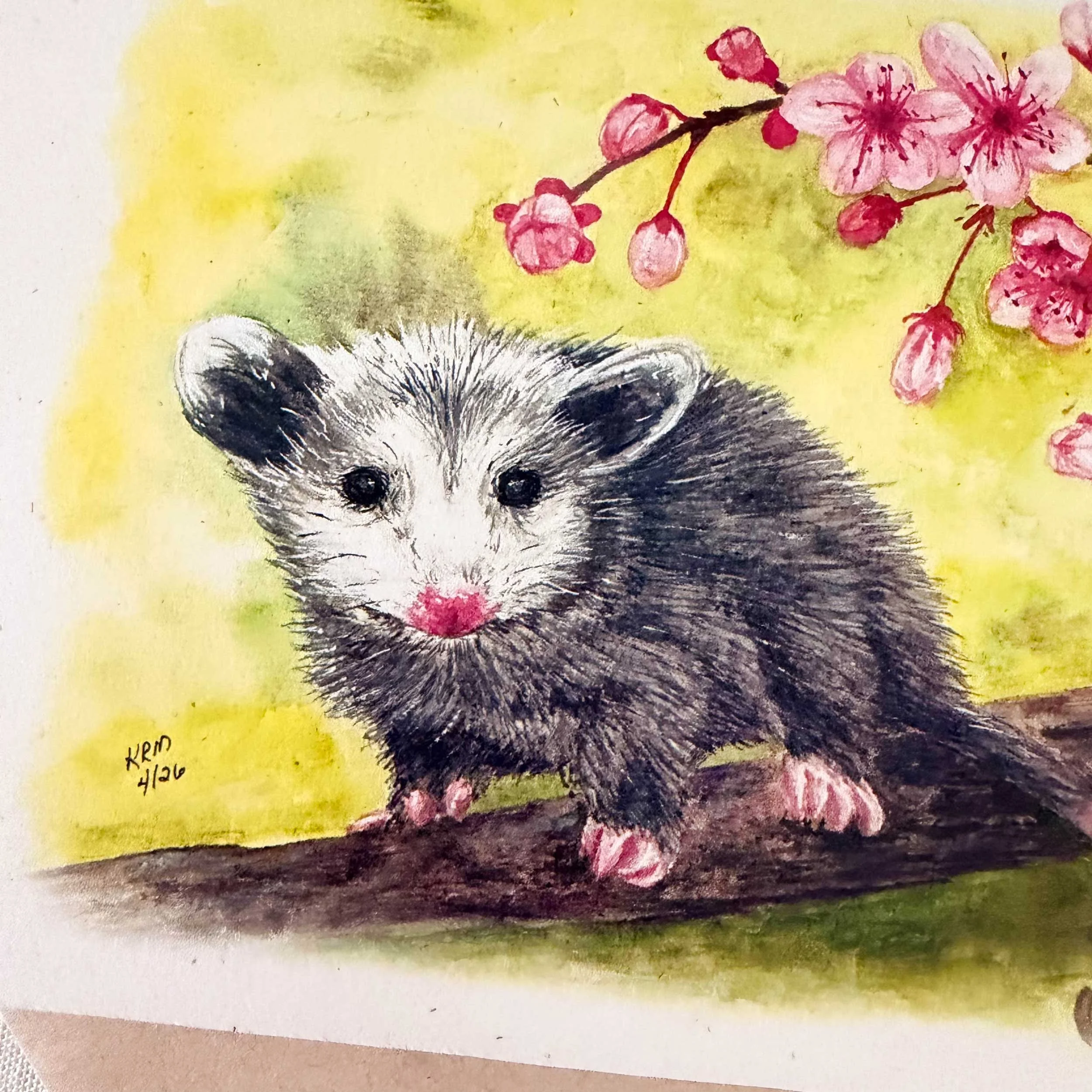 Opossom-CherryBlossoms-gretting-card_3.jpg
