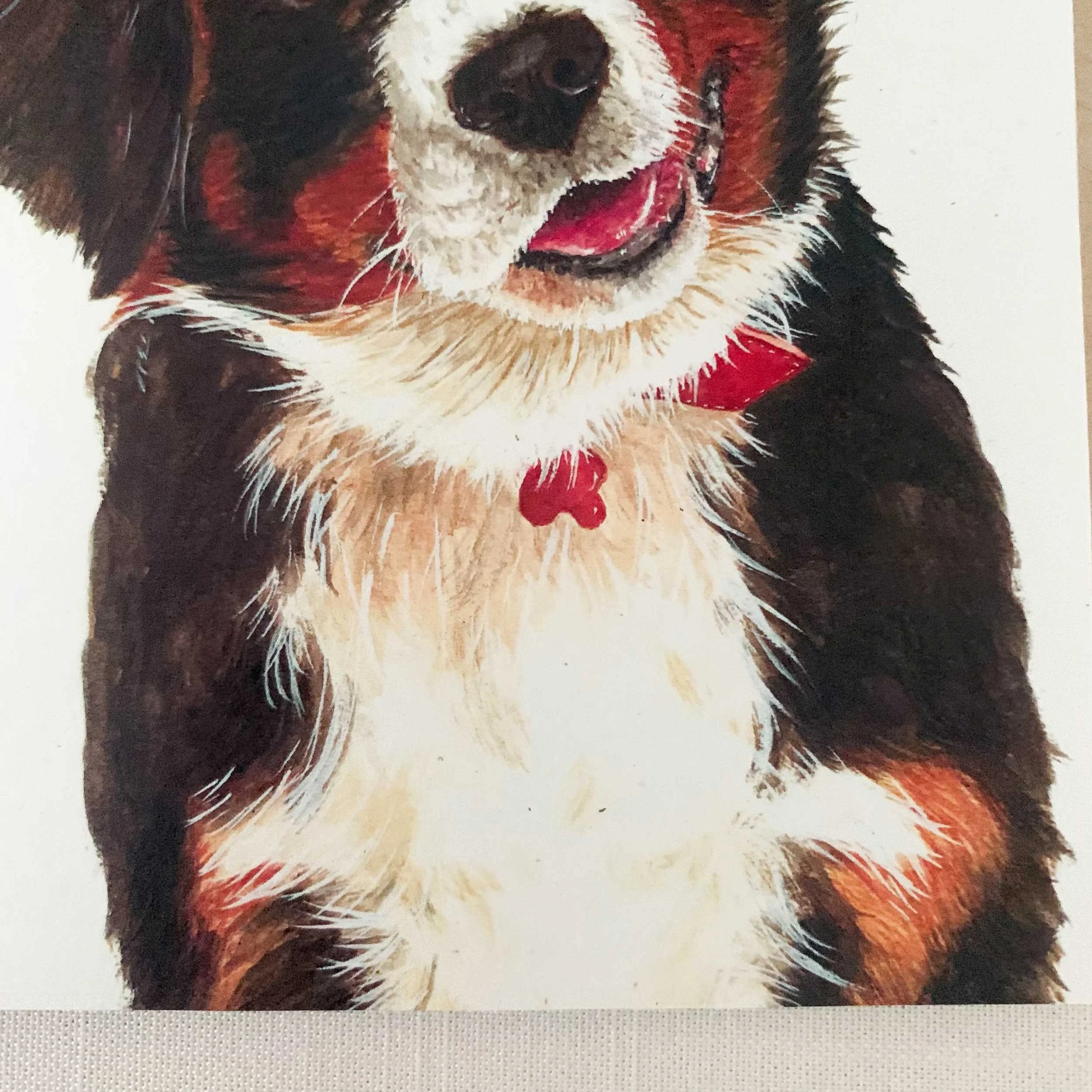 bernese-mountain-greeting-card_4.jpg