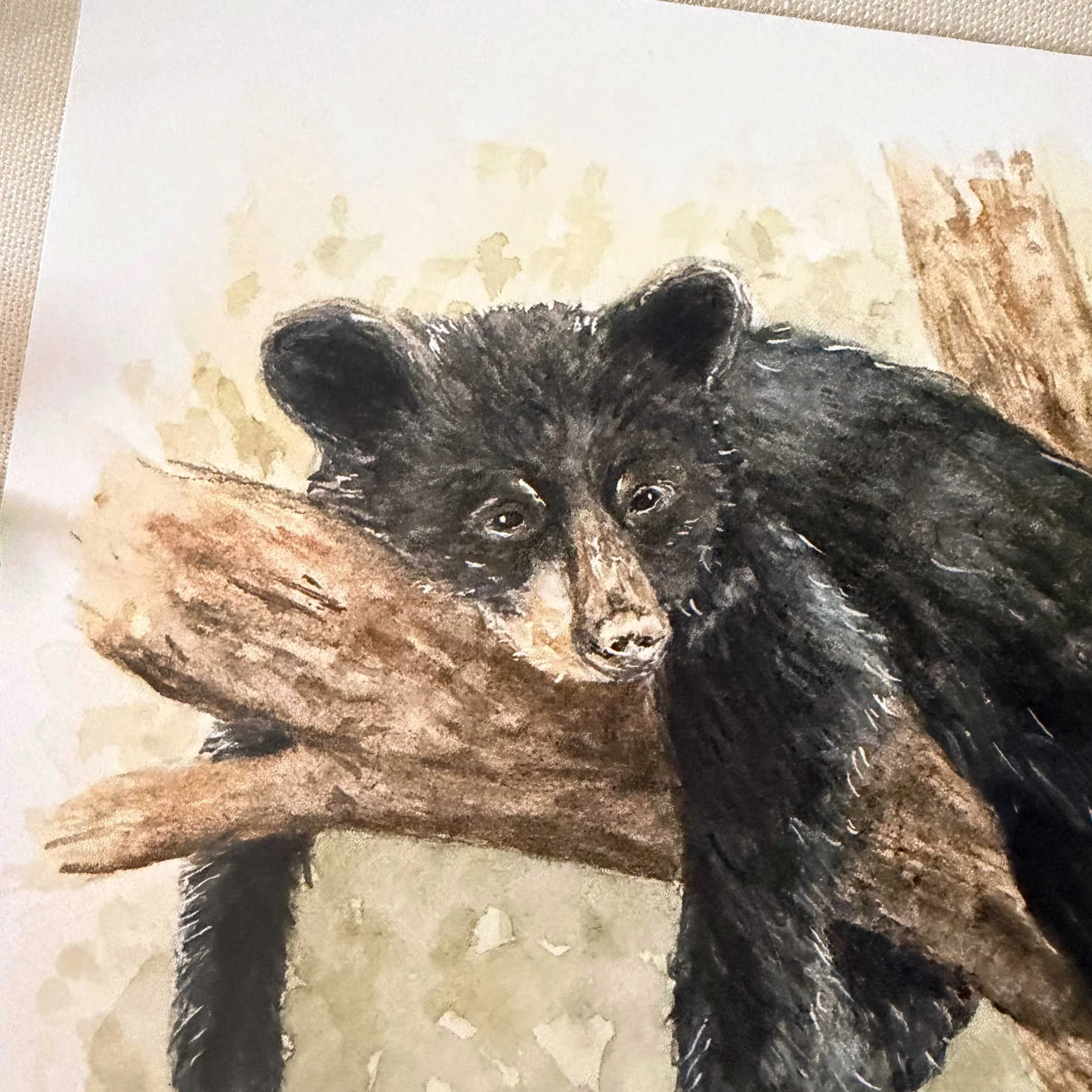 young-black-bear-tree-art-print_3.jpg