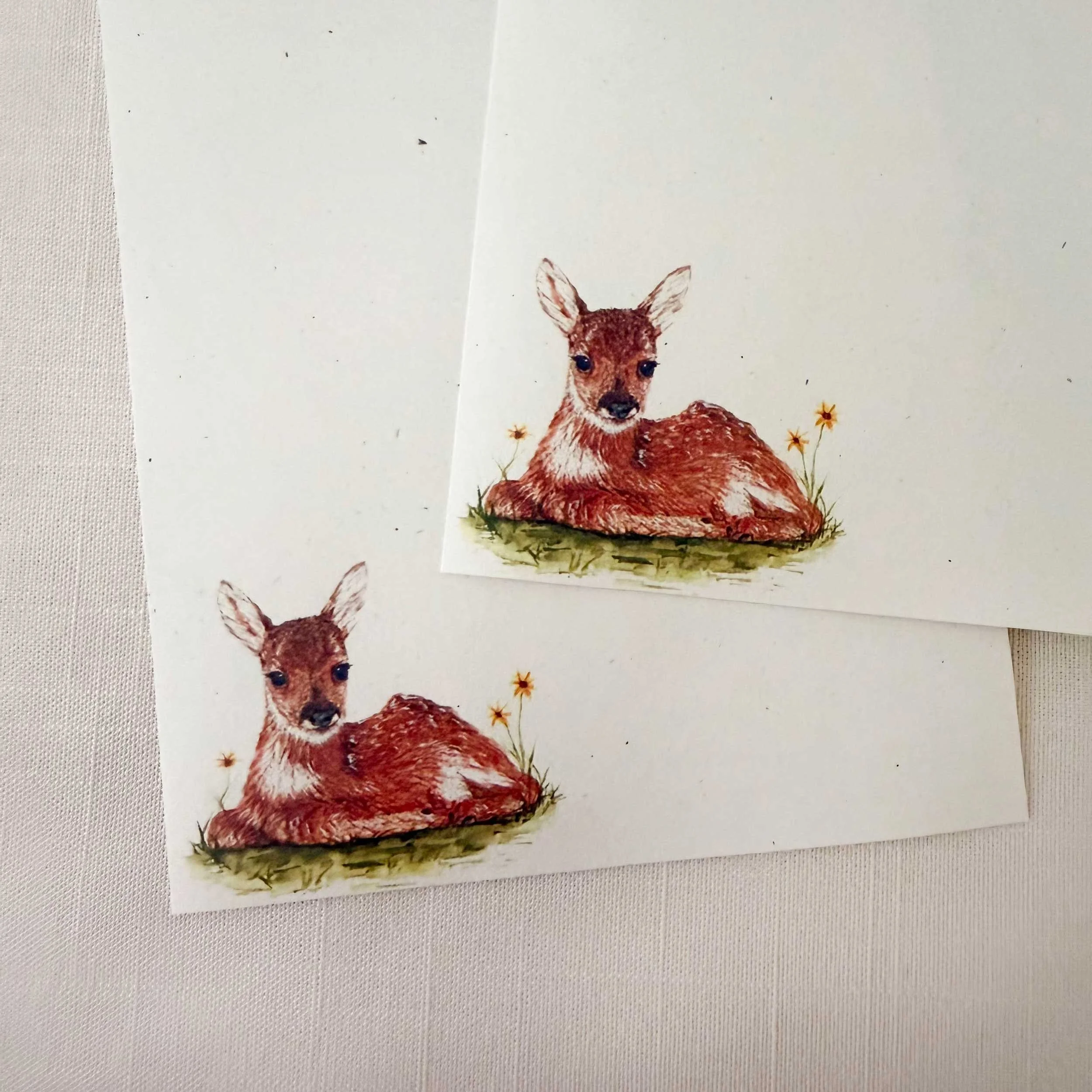 young-fawn-laying-down_letter-writing_3.jpg