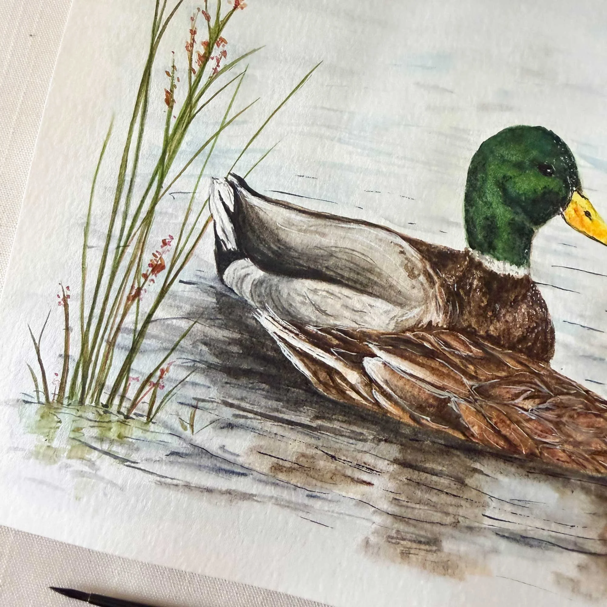 Mallard-couple-painting_4.jpg