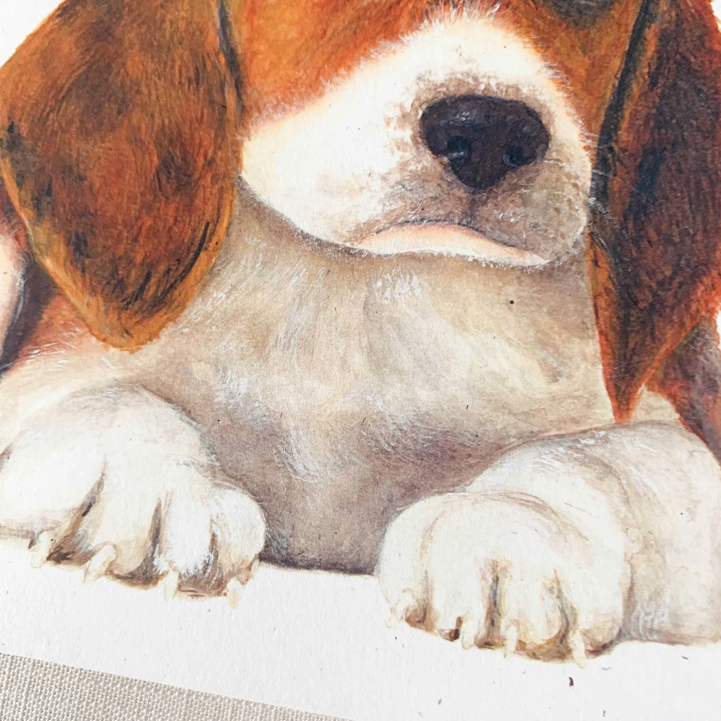 beagle-puppy-greeting-card_4.jpg