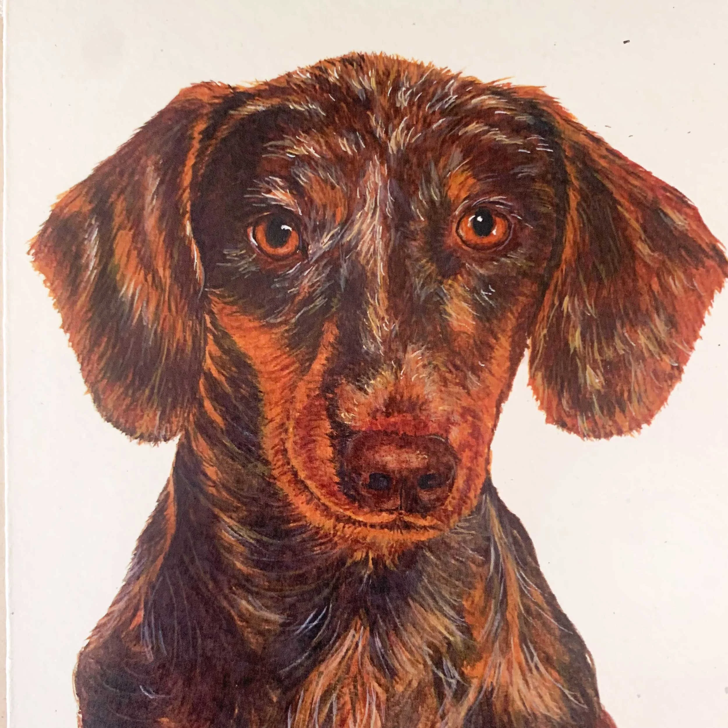 dachshund-greeting-card_3.jpg