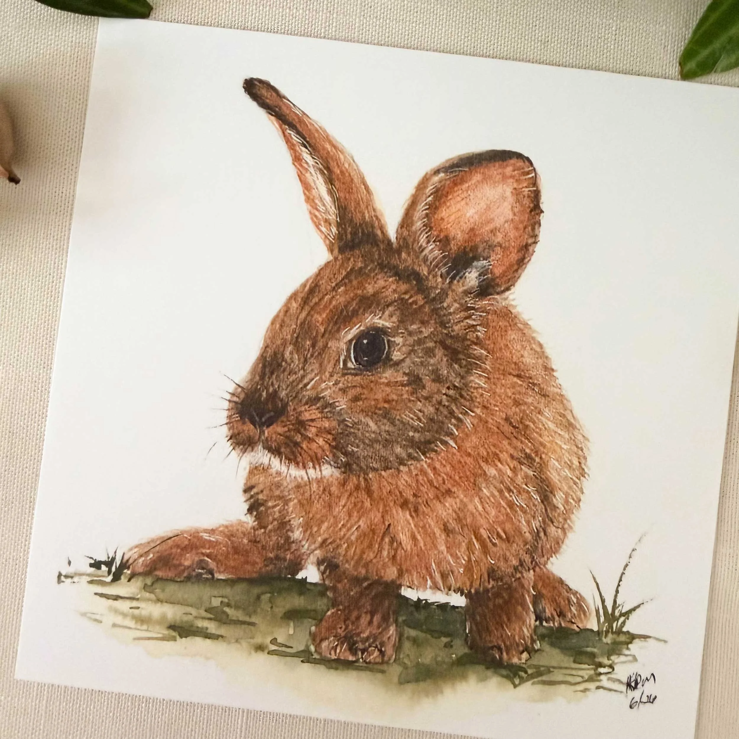 young-bunny-in-grass_art-print_2.jpg