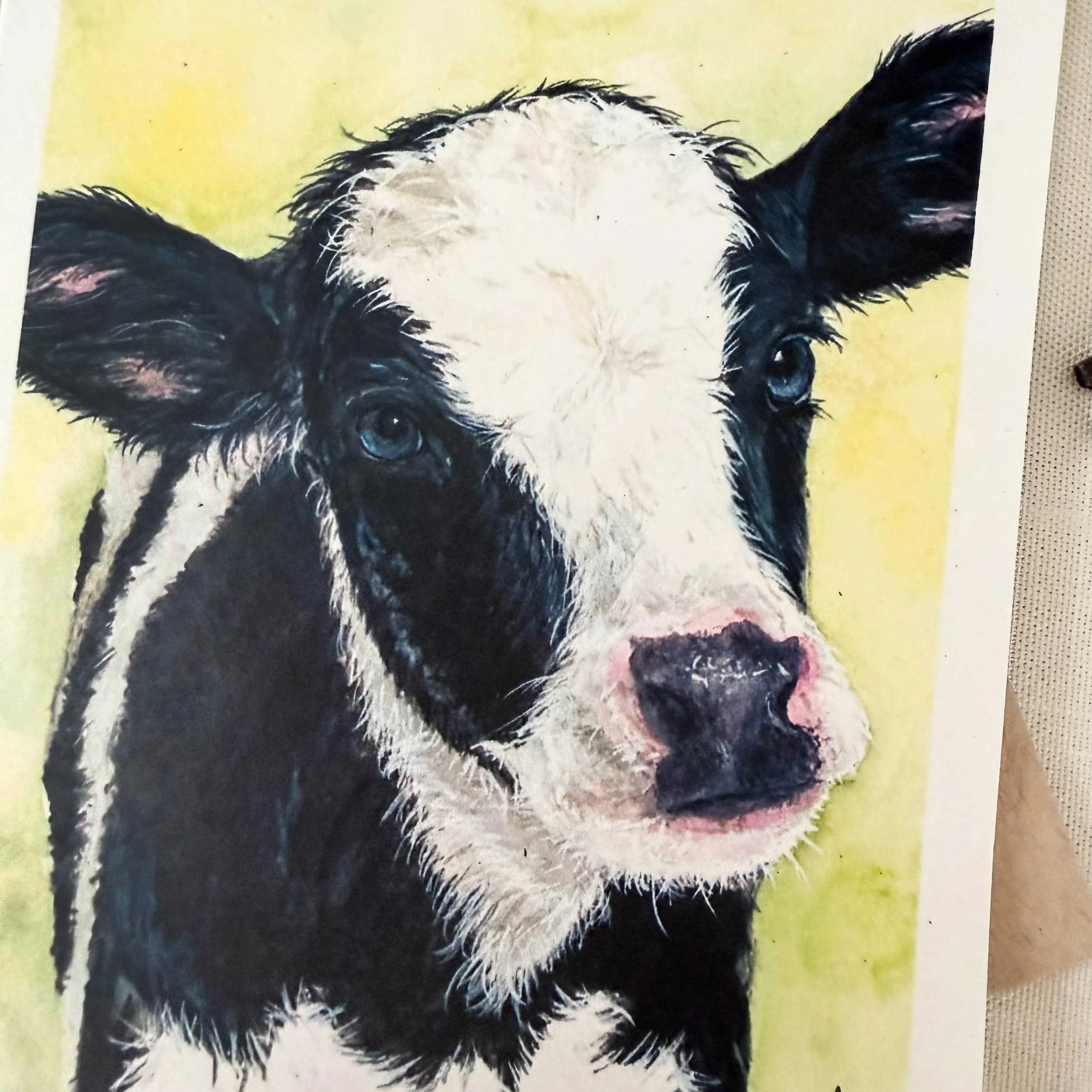 baby-black-white-cow-folded-notecard_3.jpg