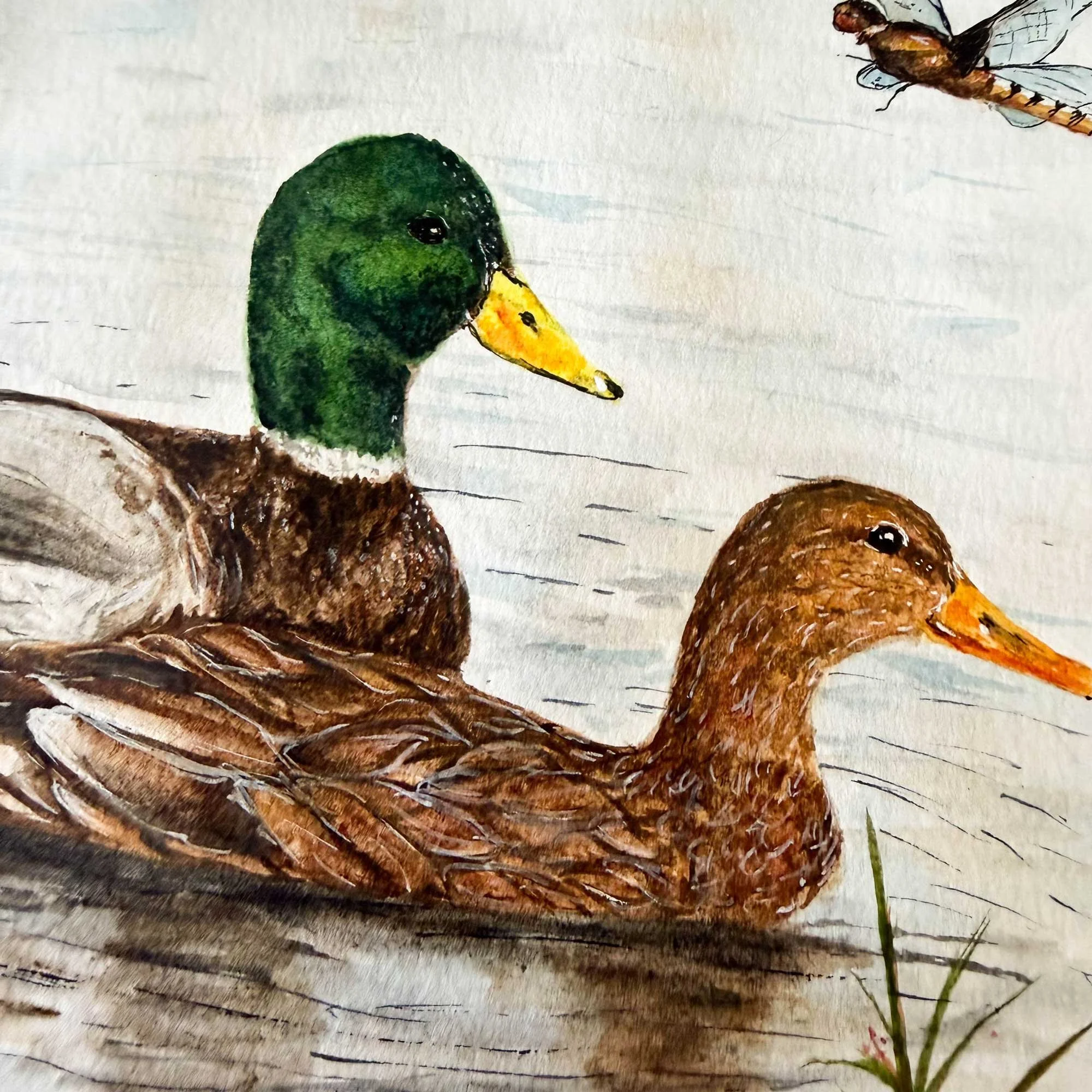 Mallard-couple-painting_5.jpg
