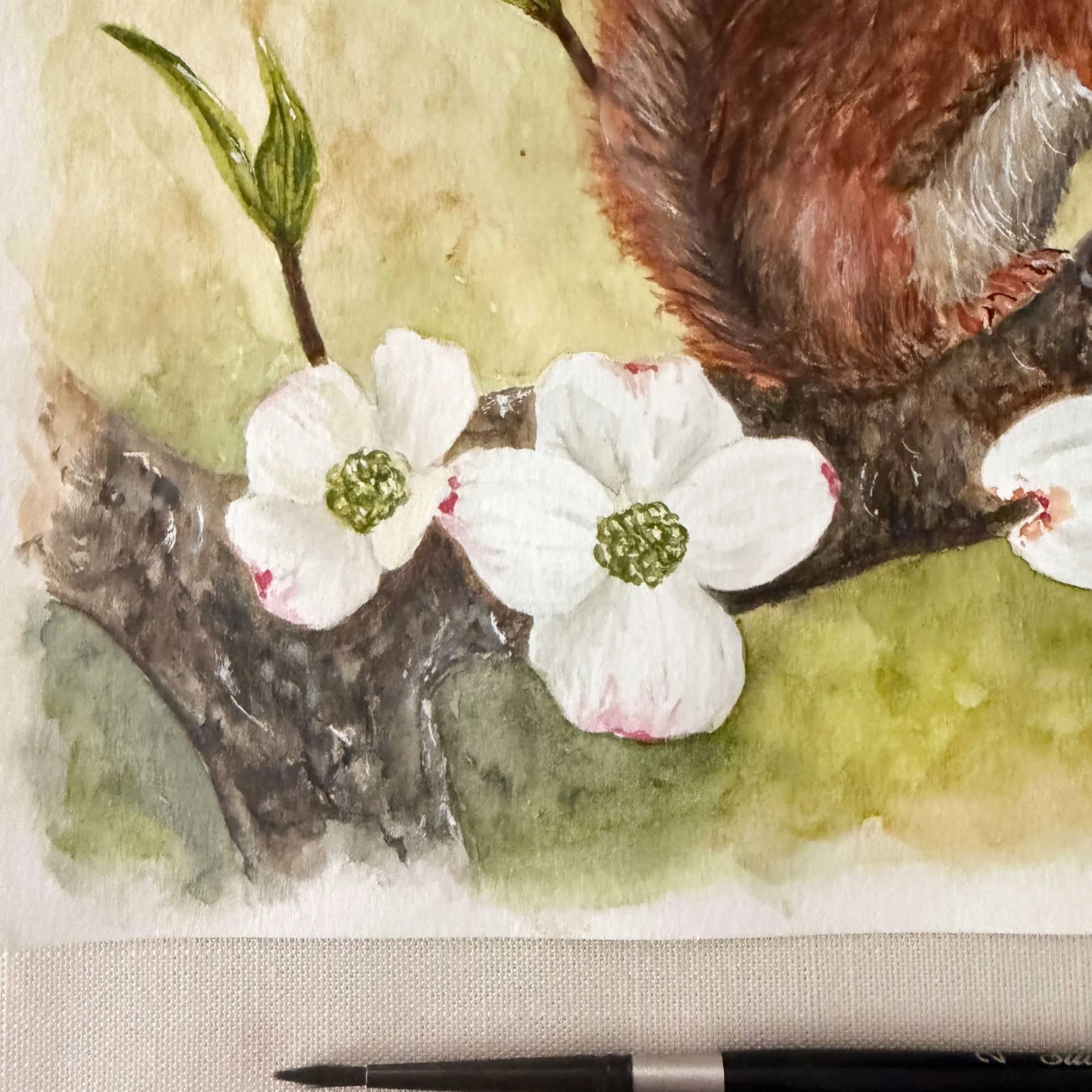 red-squirrel-dogwoods-painting_6.jpg