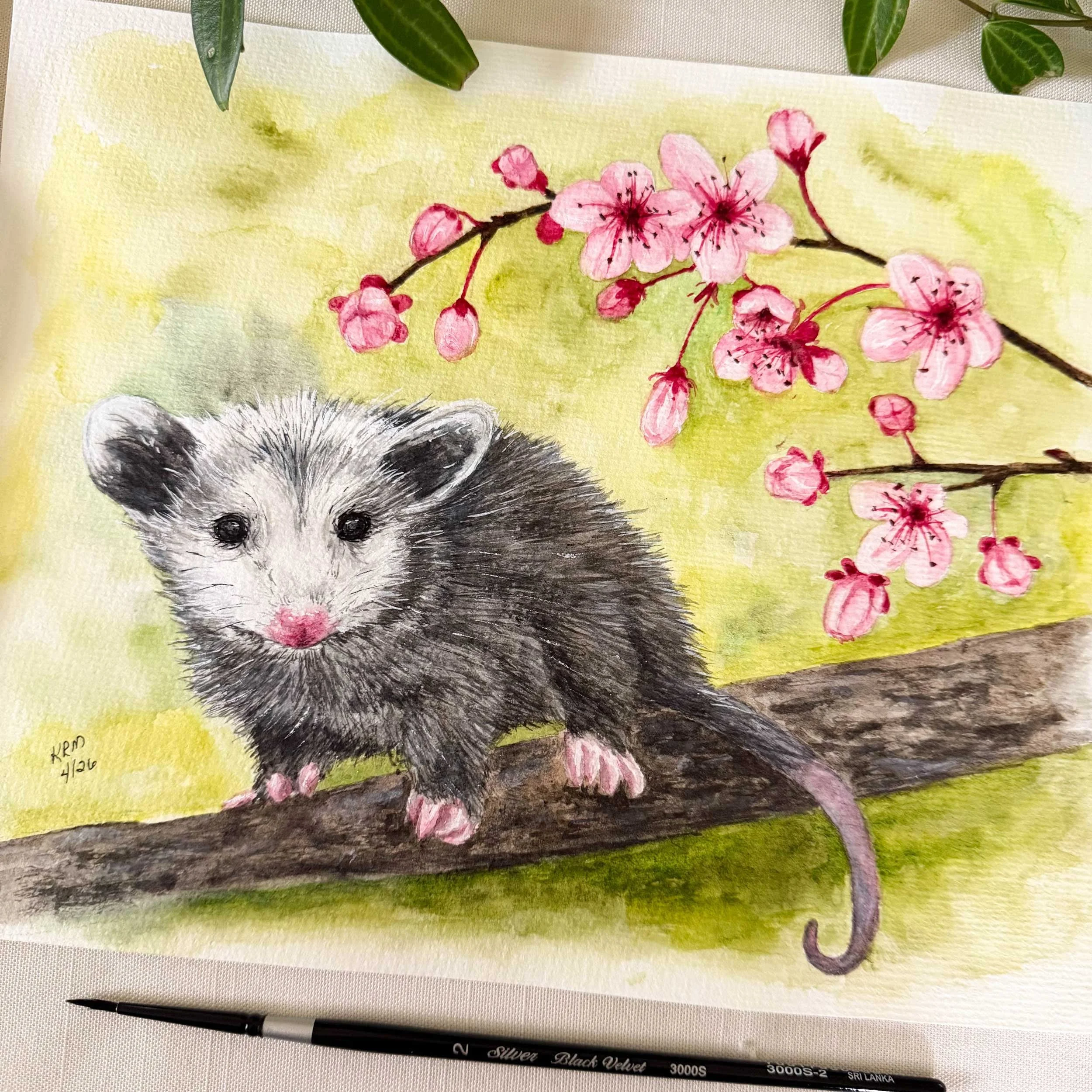 Opossom-CherryBlossoms-painting_3.jpg