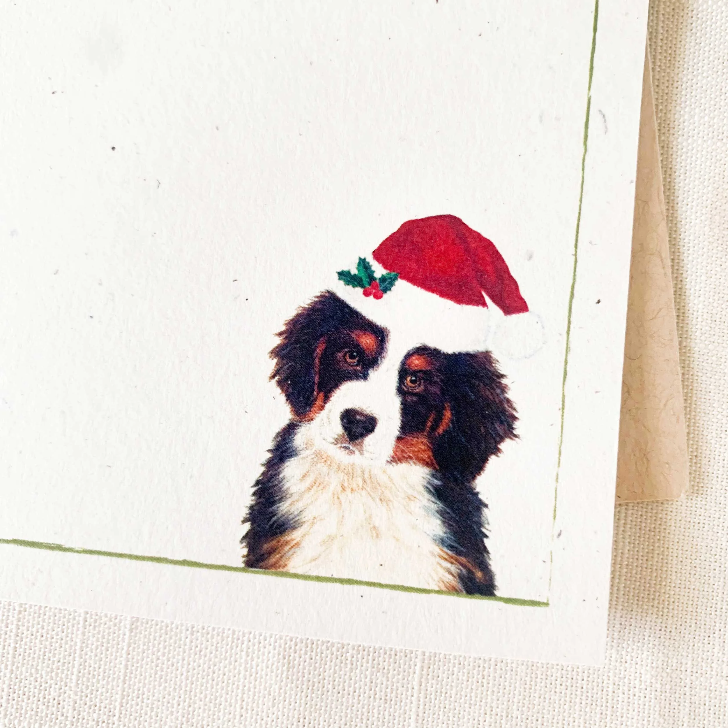 bernese-santa-hat-notecard_3.jpg