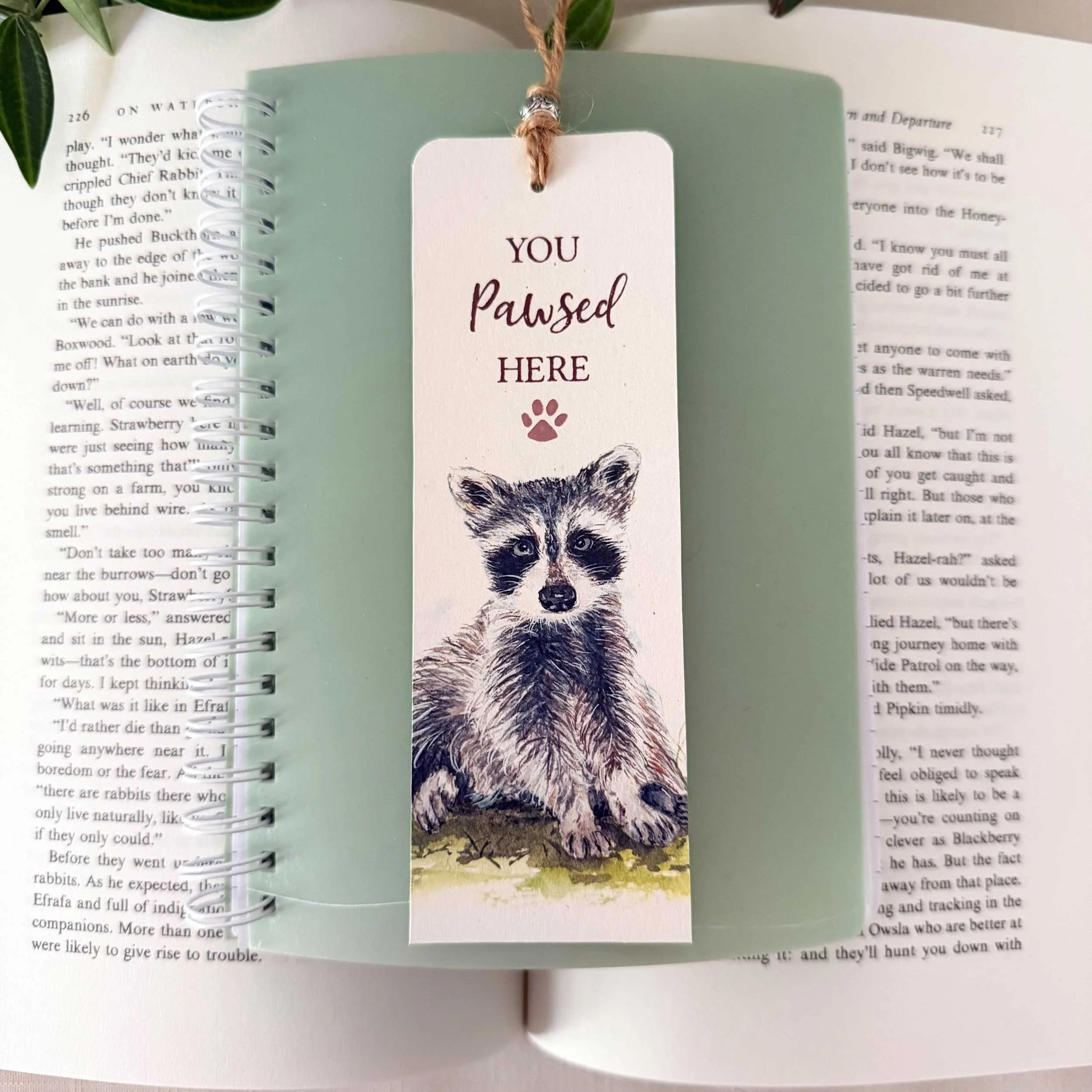 young-raccoon-grass-bookmark_1.jpg