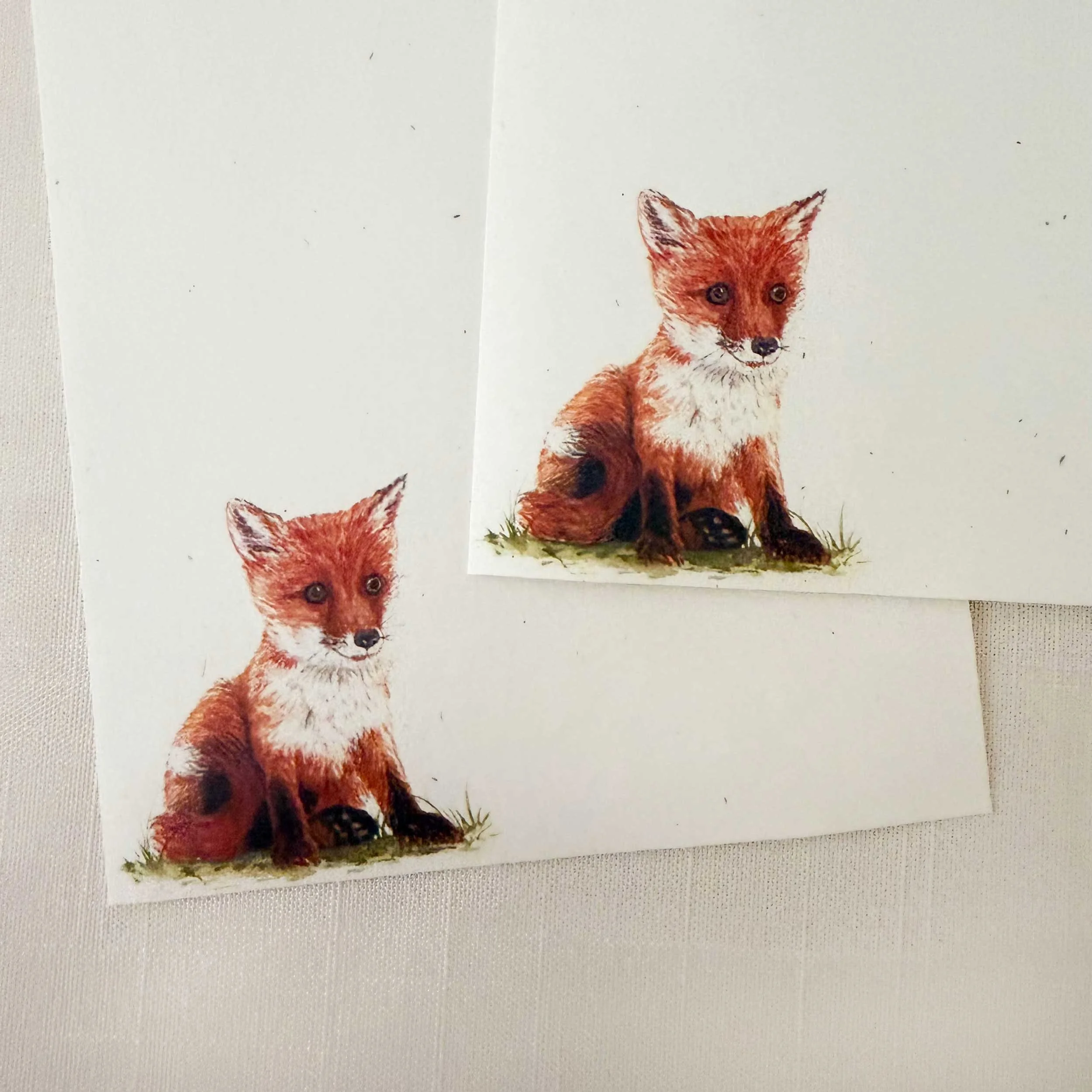 young-fox-sitting_letter-writing_3.jpg