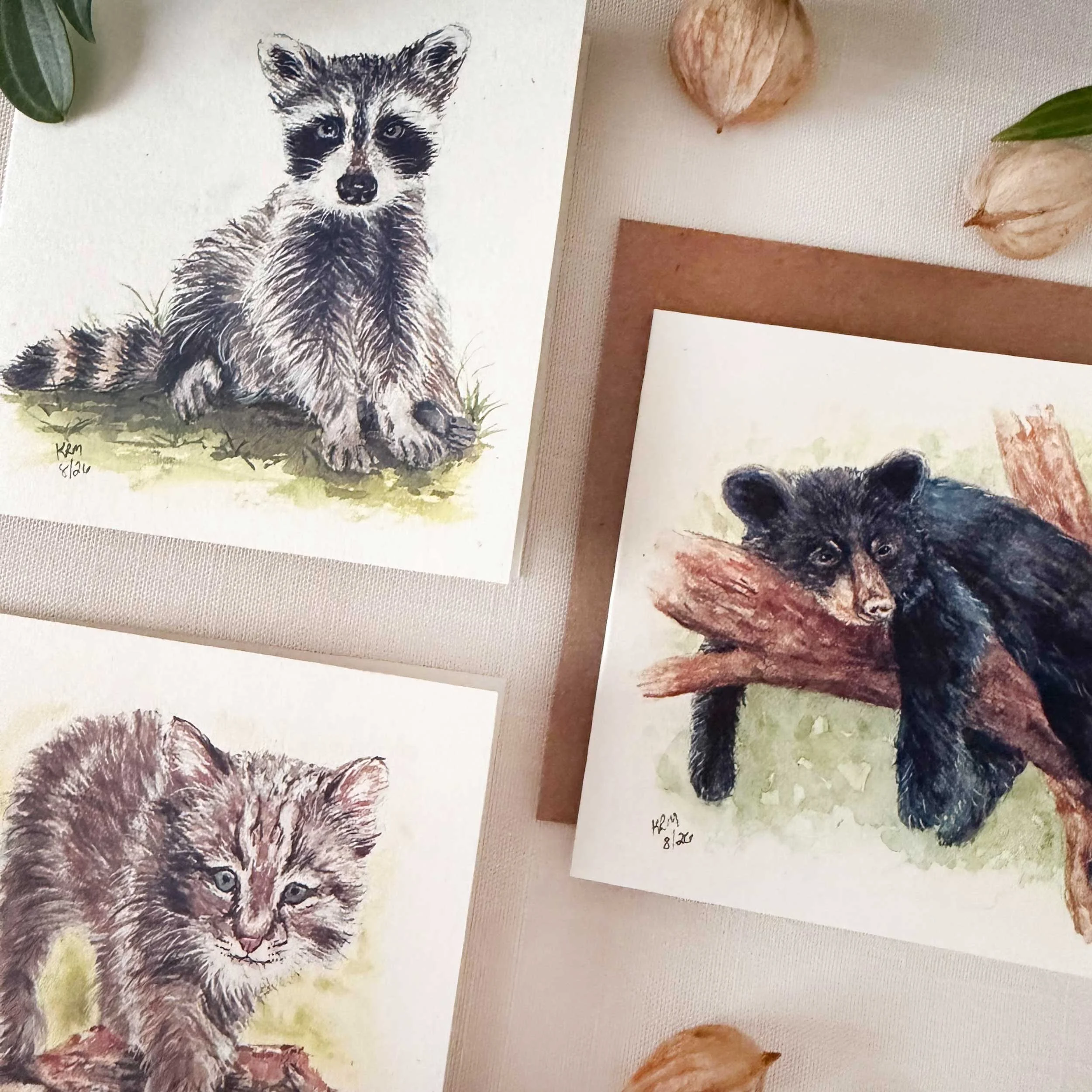 young-raccoon-bobcat-blackbear_mini-cards_2.jpg