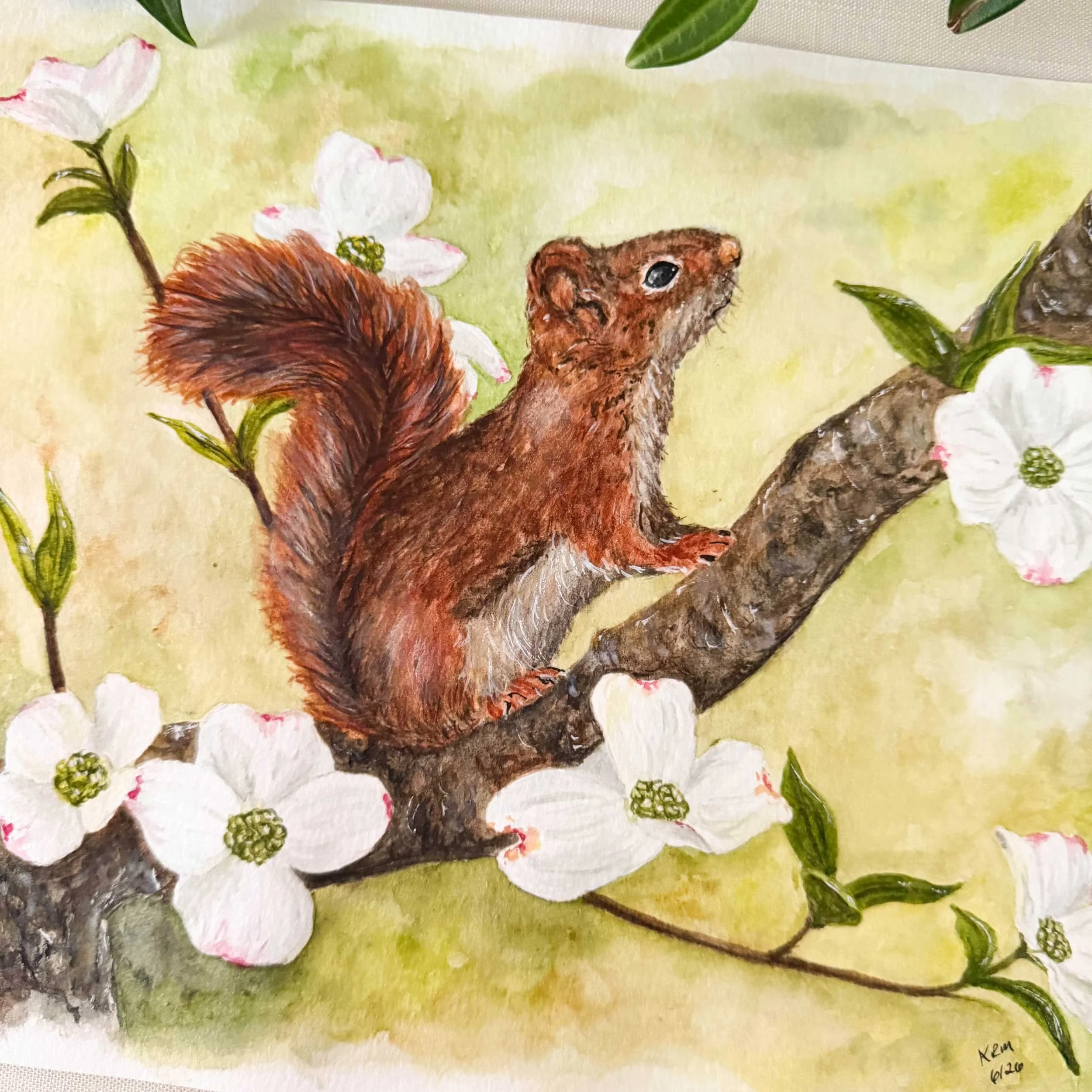 red-squirrel-dogwoods-painting_3.jpg