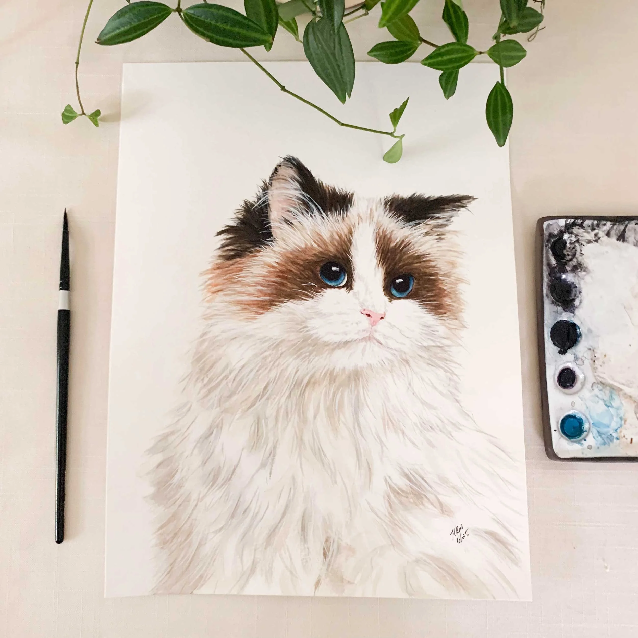 Ragdoll Cat Original Painting