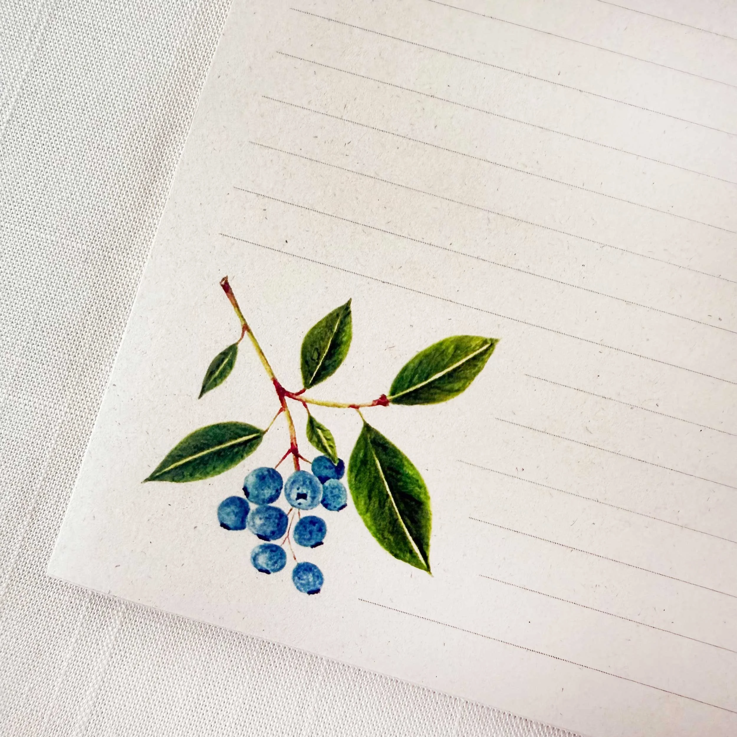 blueberry-branch-notepad_4.jpg