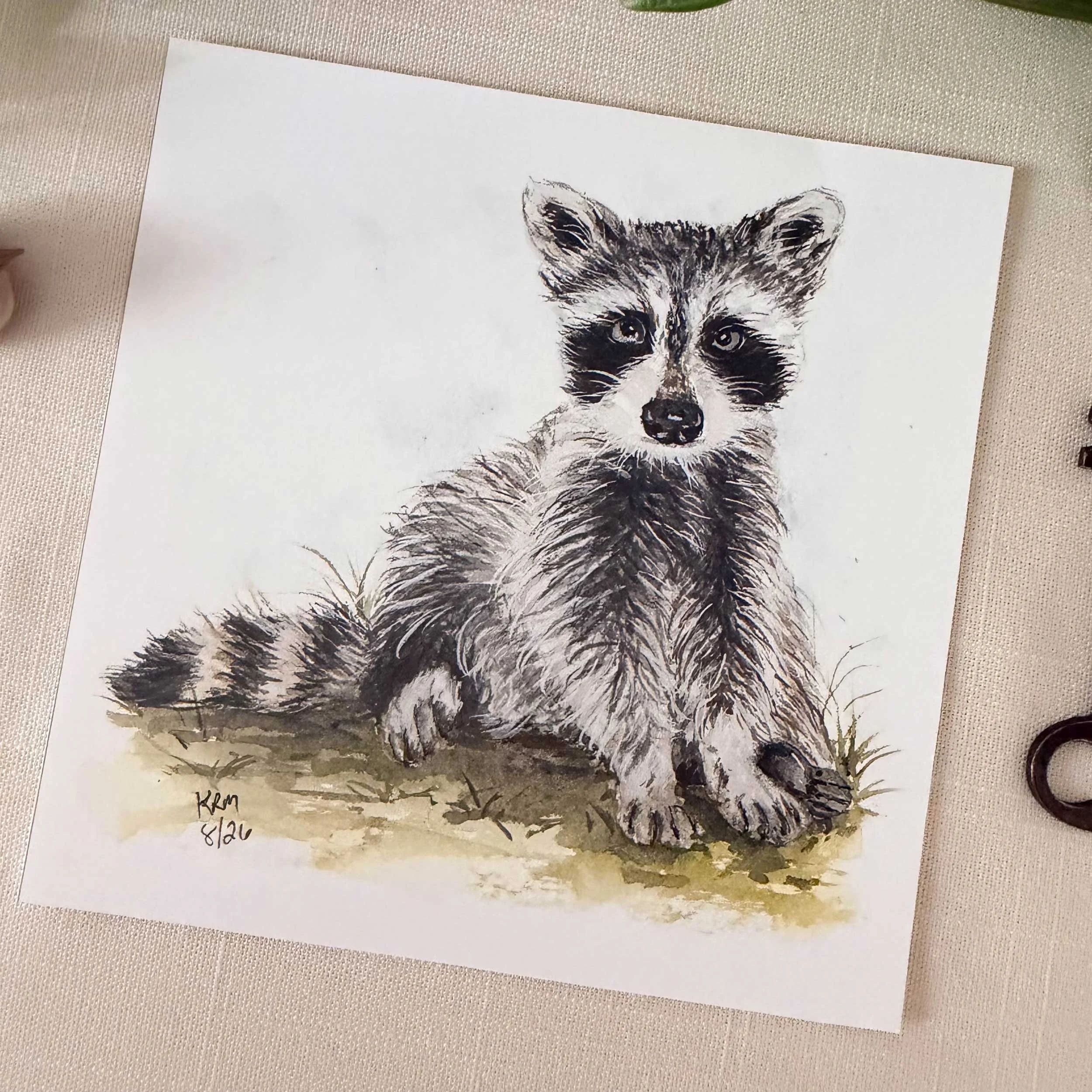 young-raccoon-grass-art-print_2.jpg