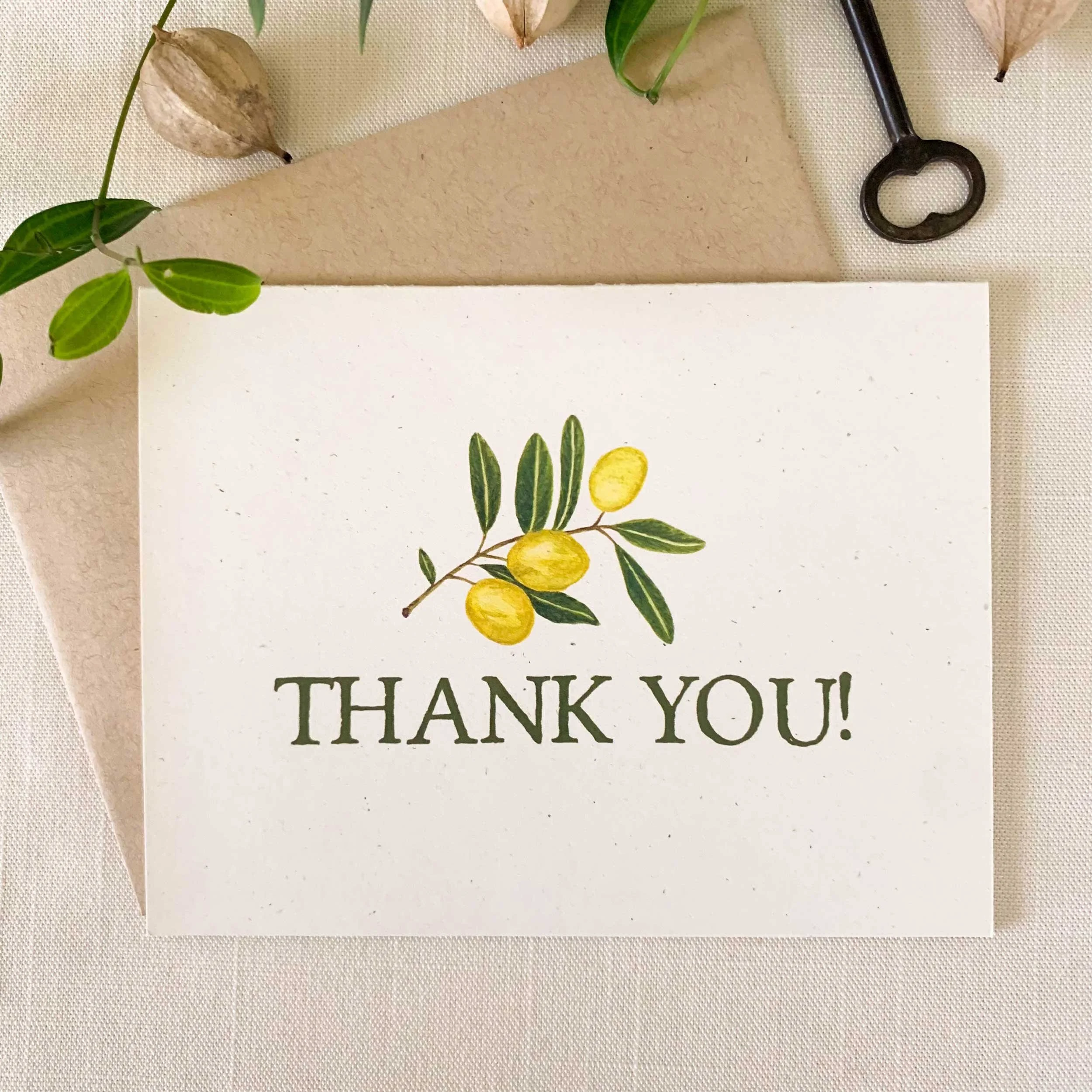 Green Olive Branch Folded Thank You Cards