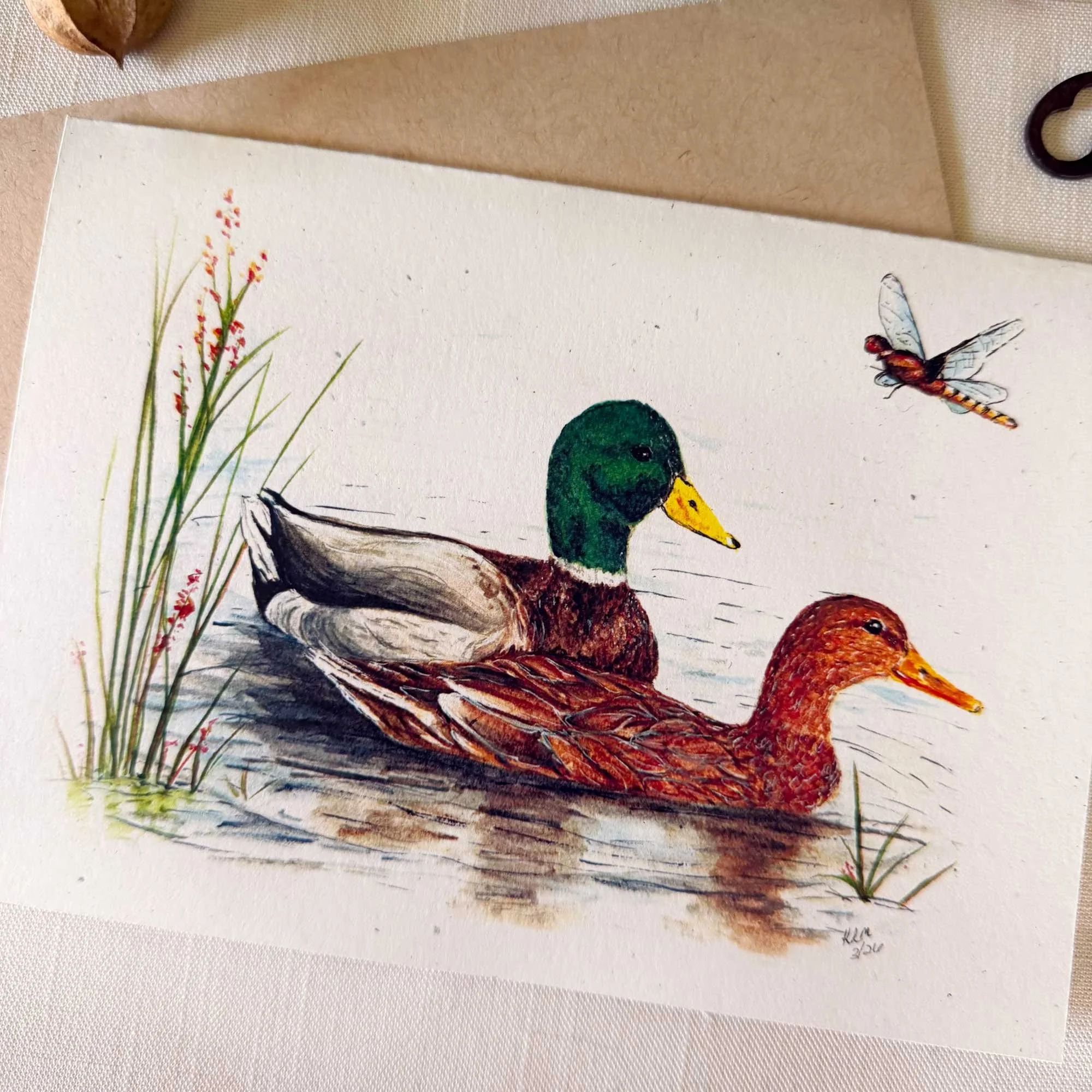 Mallard-couple-greeting-card_2.jpg