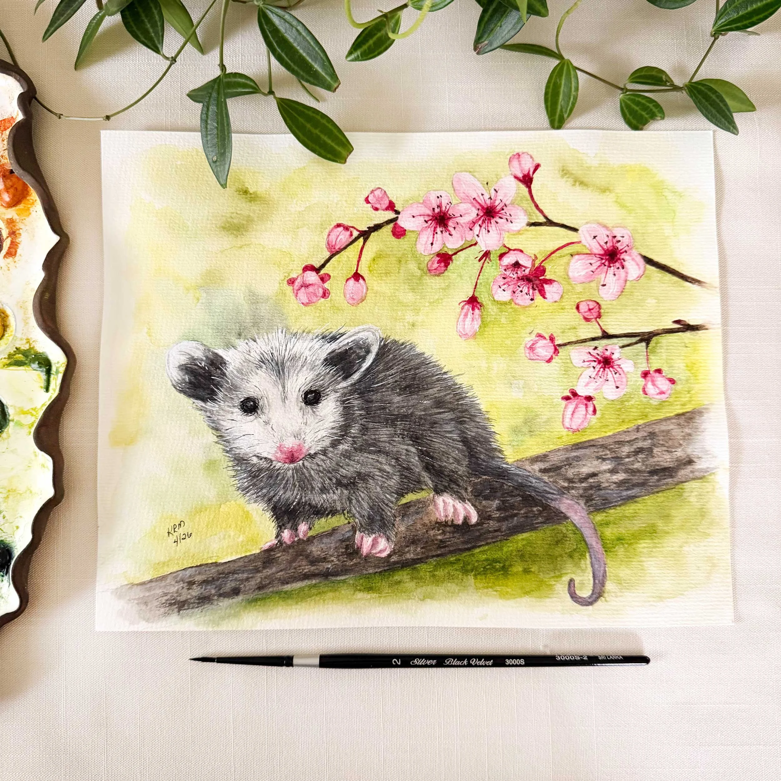 Opossom-CherryBlossoms-painting_1.jpg