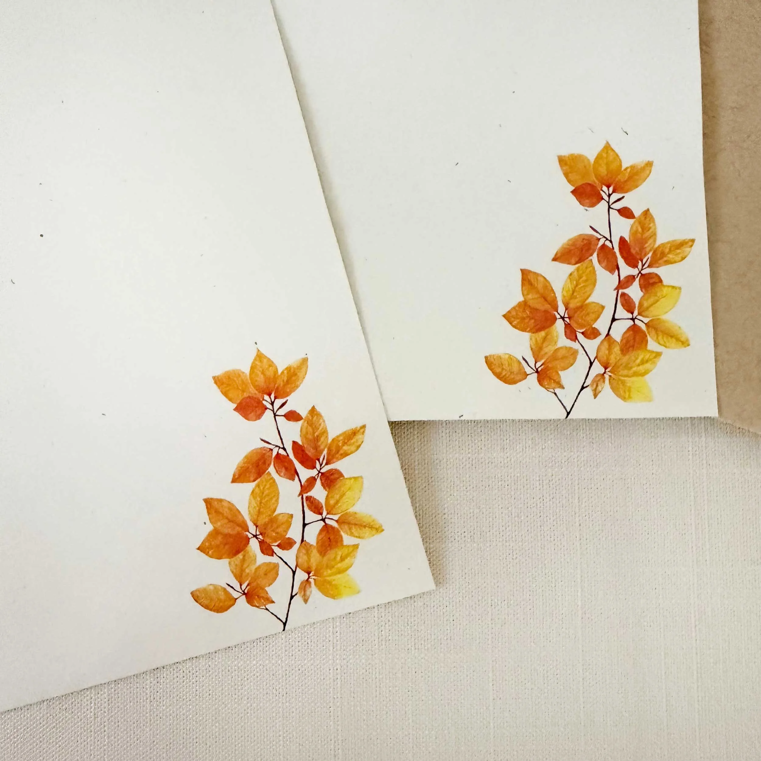 hazel-branch-letter-writing-set_3.jpg