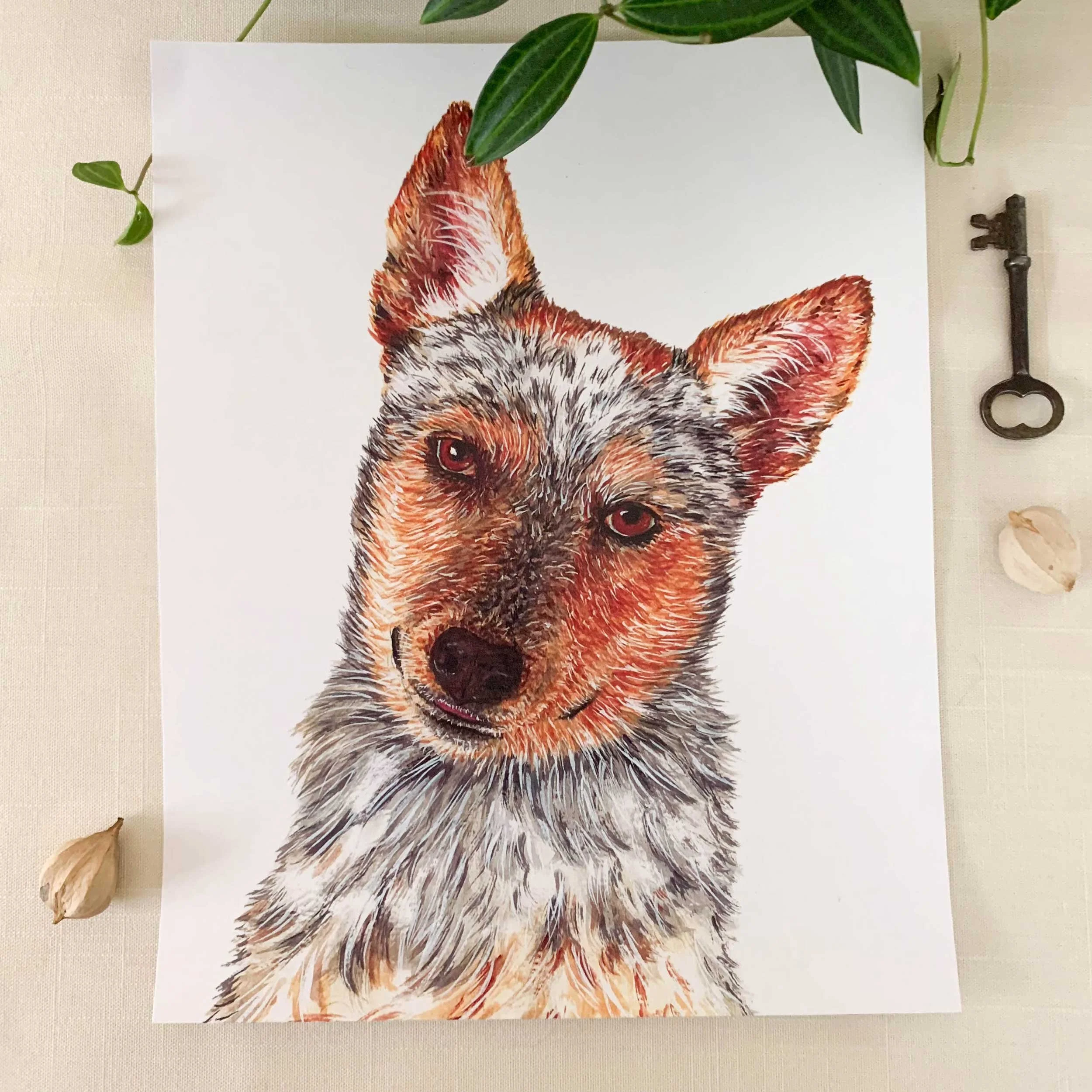 Australian Cattle Dog Frameable Greeting Card