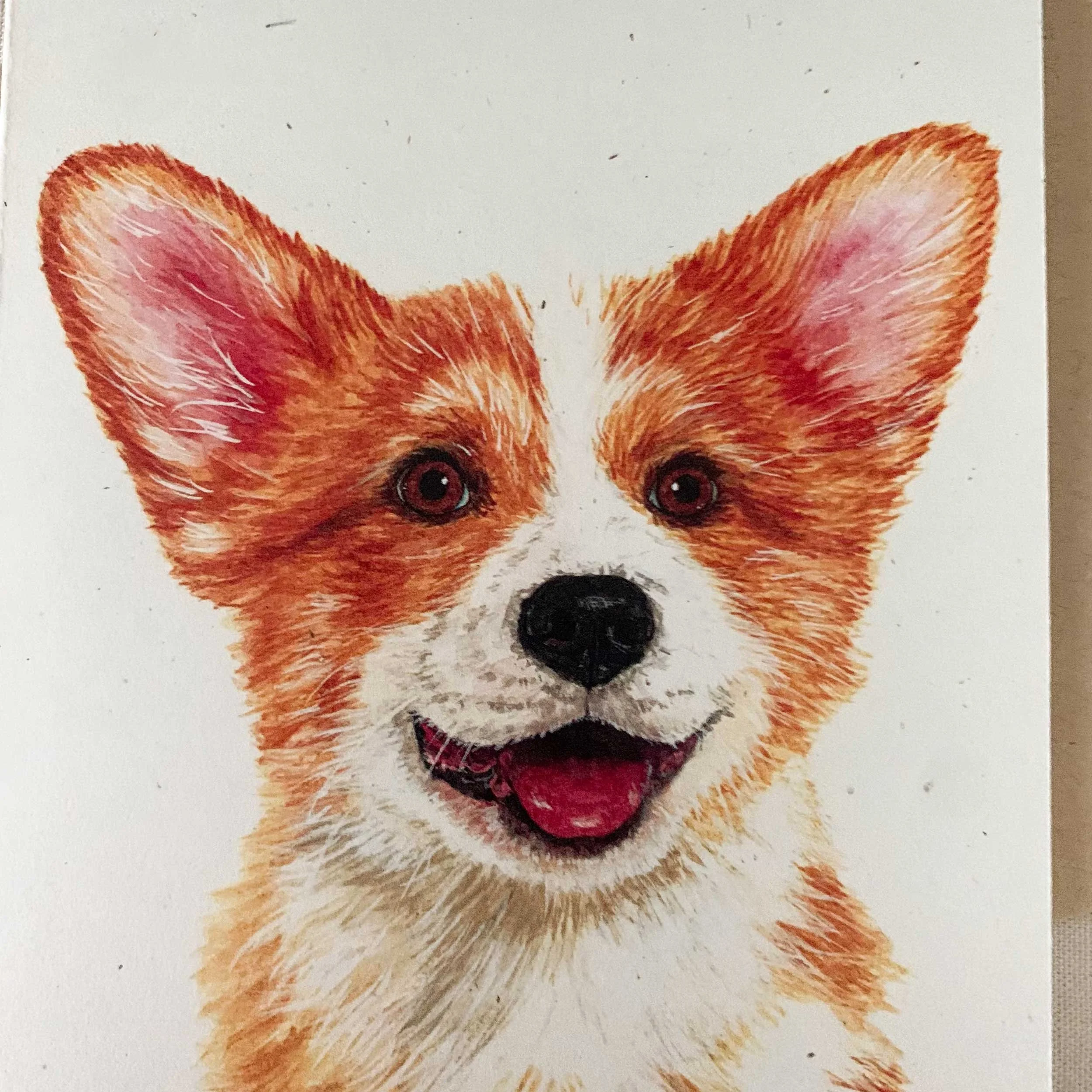 corgi-greeting-card_3.jpg
