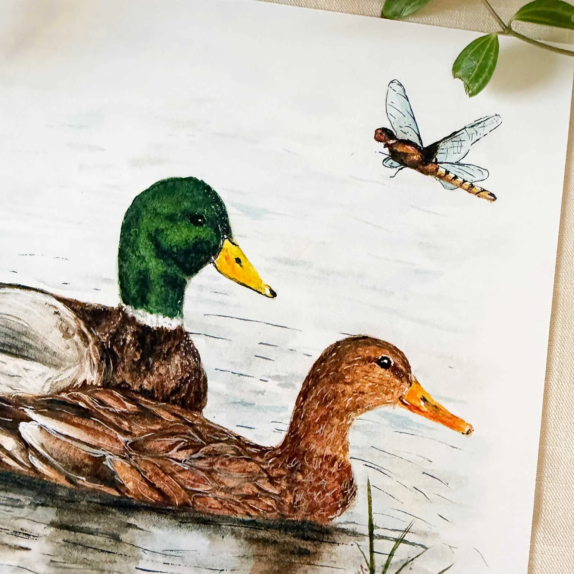Mallard-couple-art-print_4.jpg