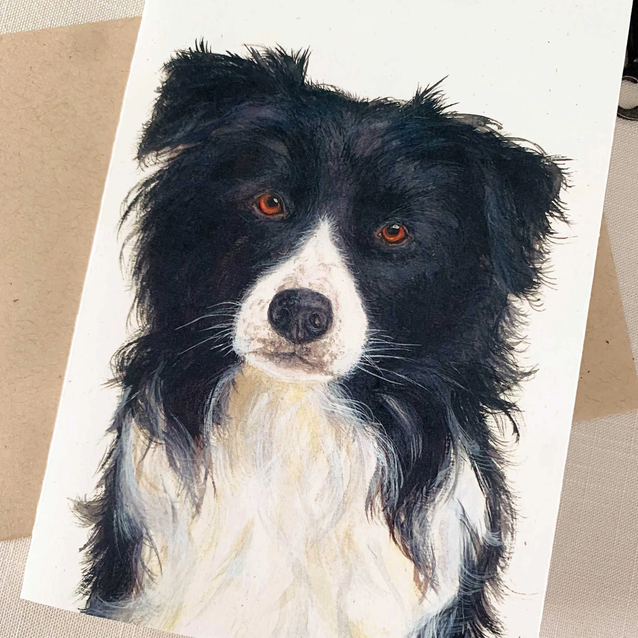 border-collie-greeting-card_2.jpg