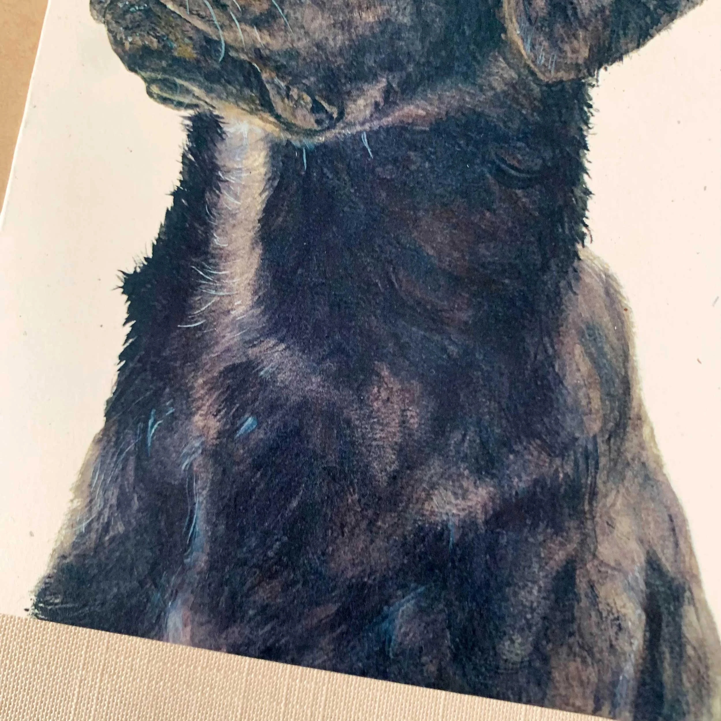 black-lab-greeting-card_4.jpg