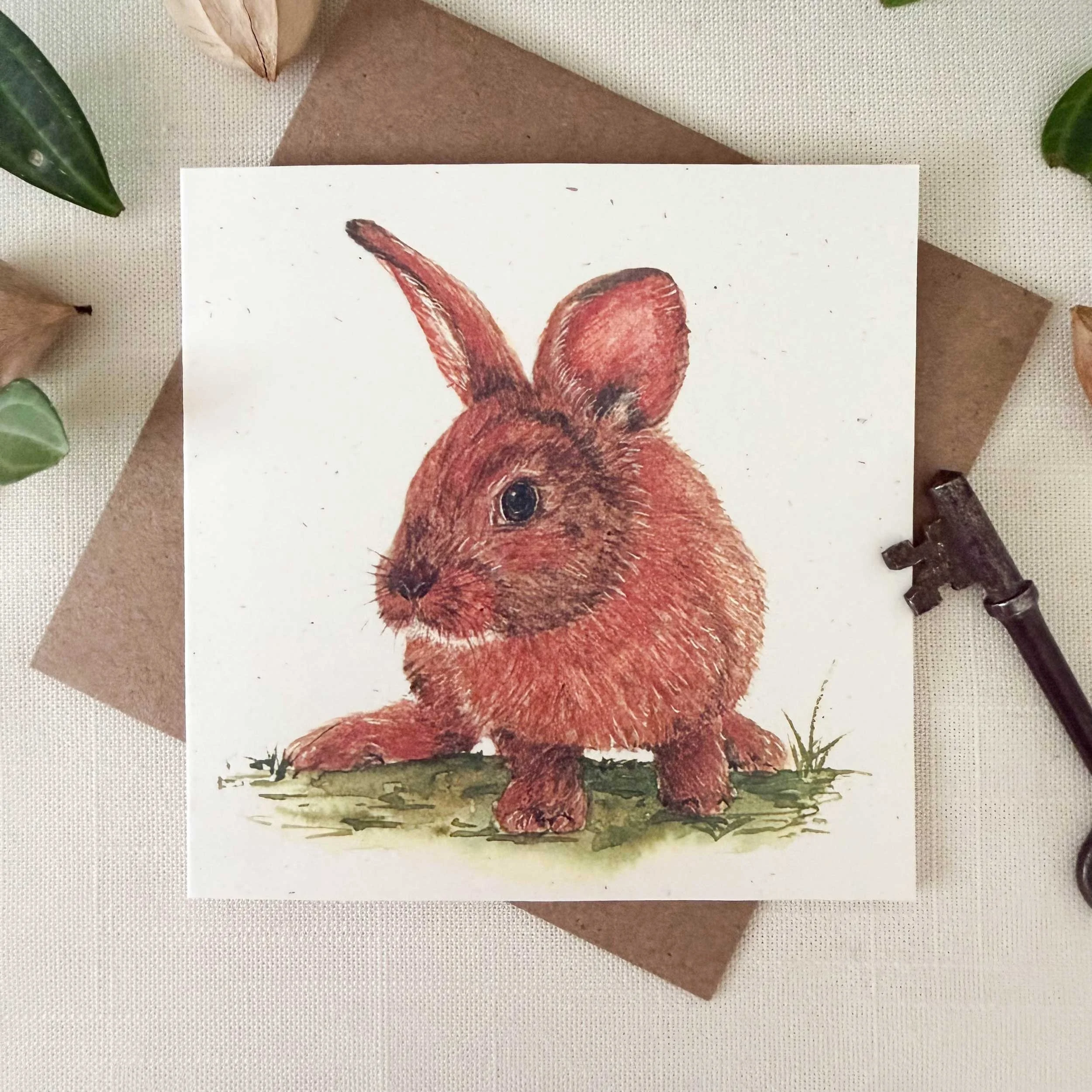 young-bunny-in-grass_mini-card_1.jpg