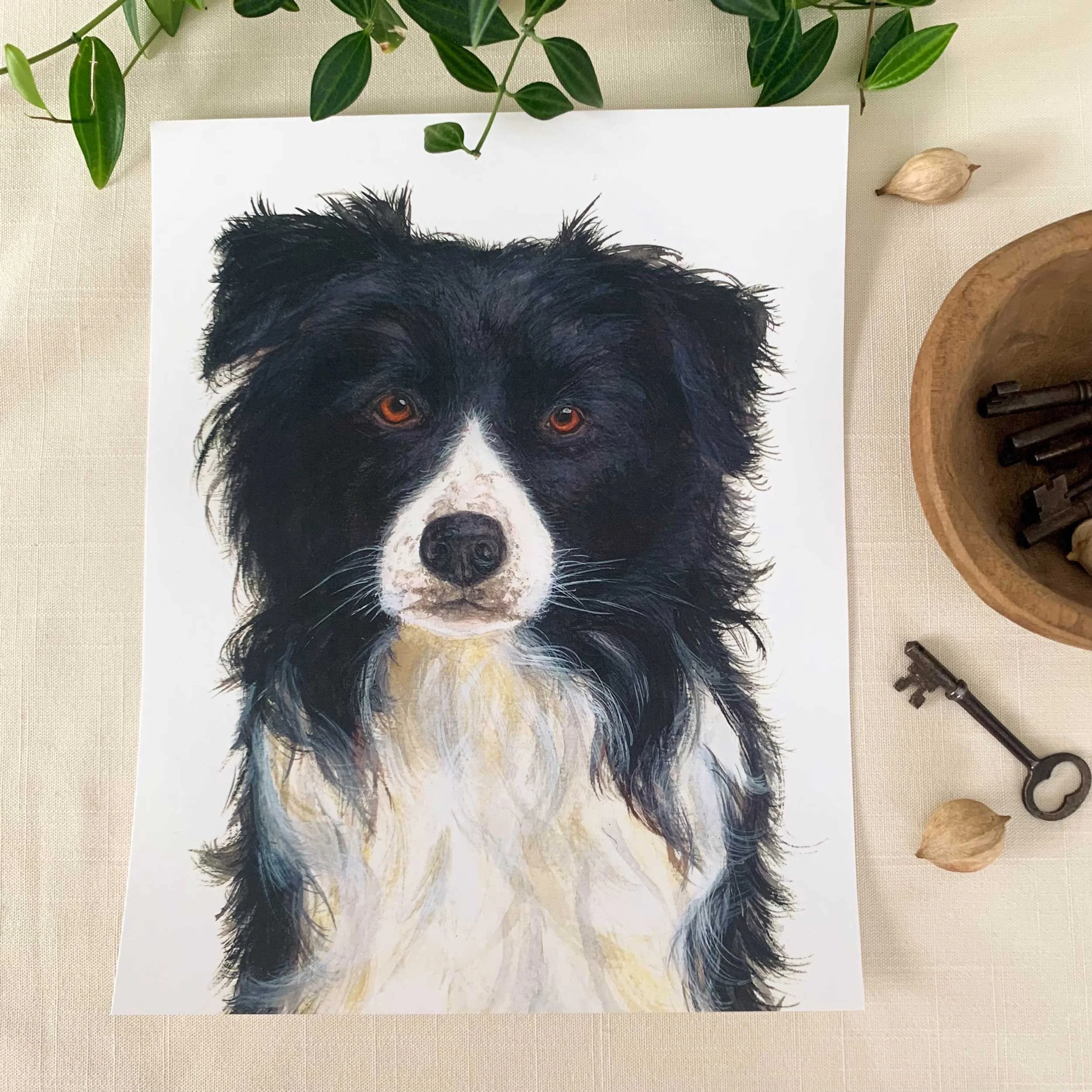 Border Collie Art Print