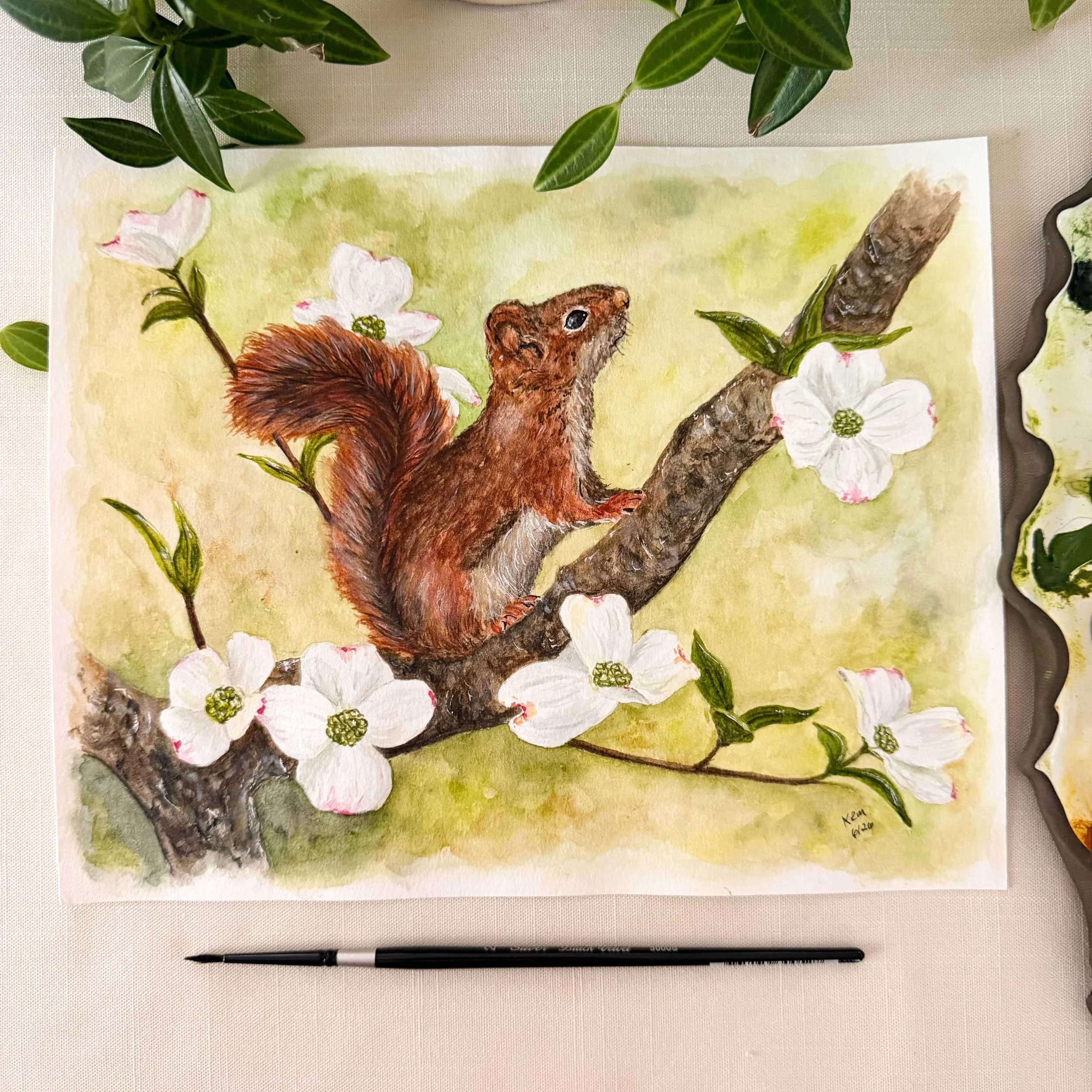 red-squirrel-dogwoods-painting_1.jpg