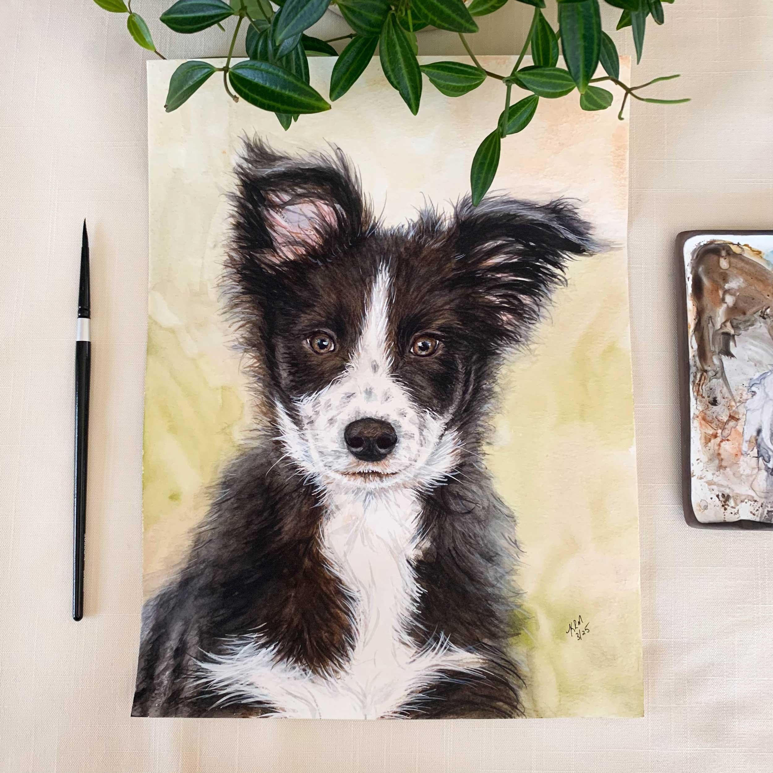 Border Collie Puppy Outside Original Painting