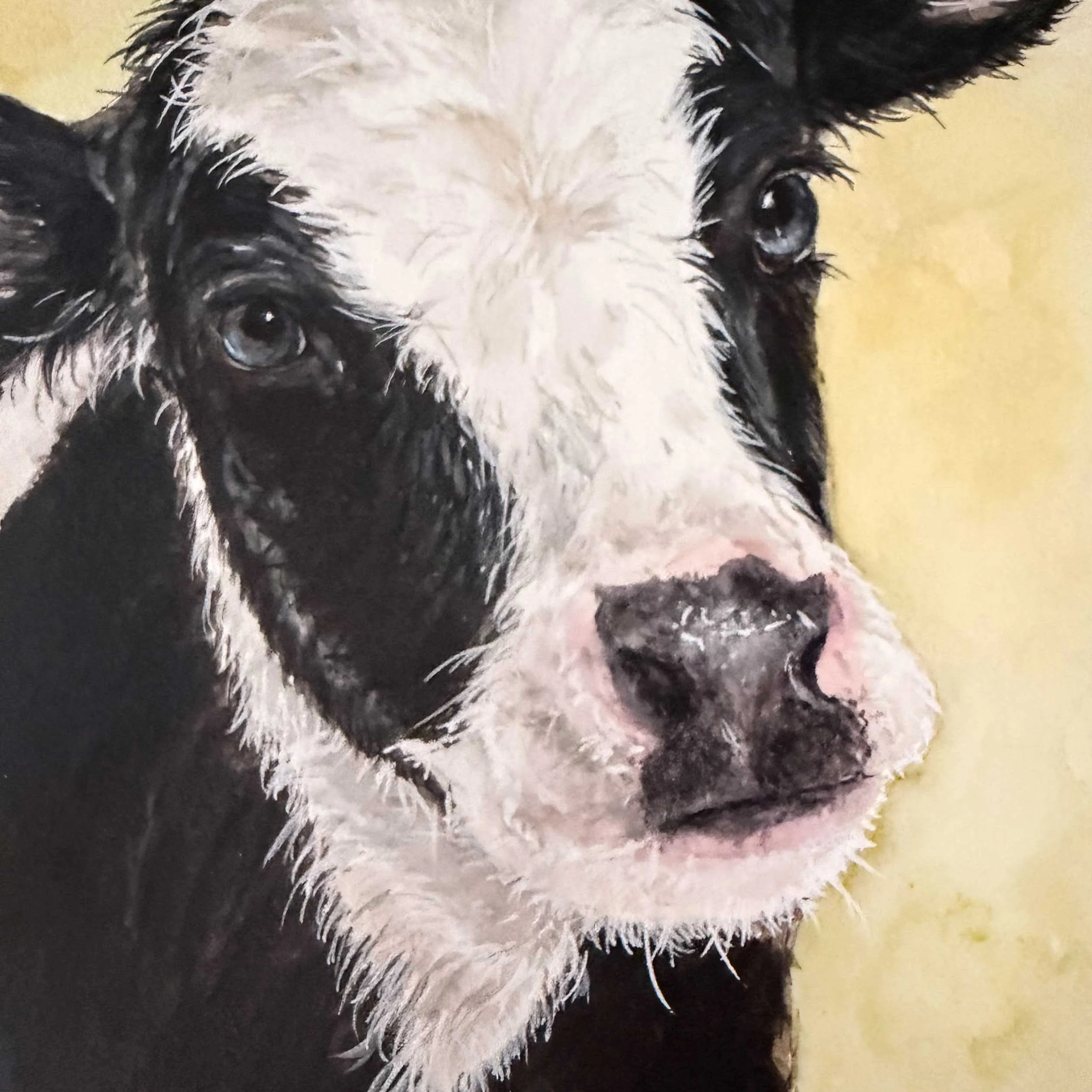 baby-black-white-cow-painting_5.jpg