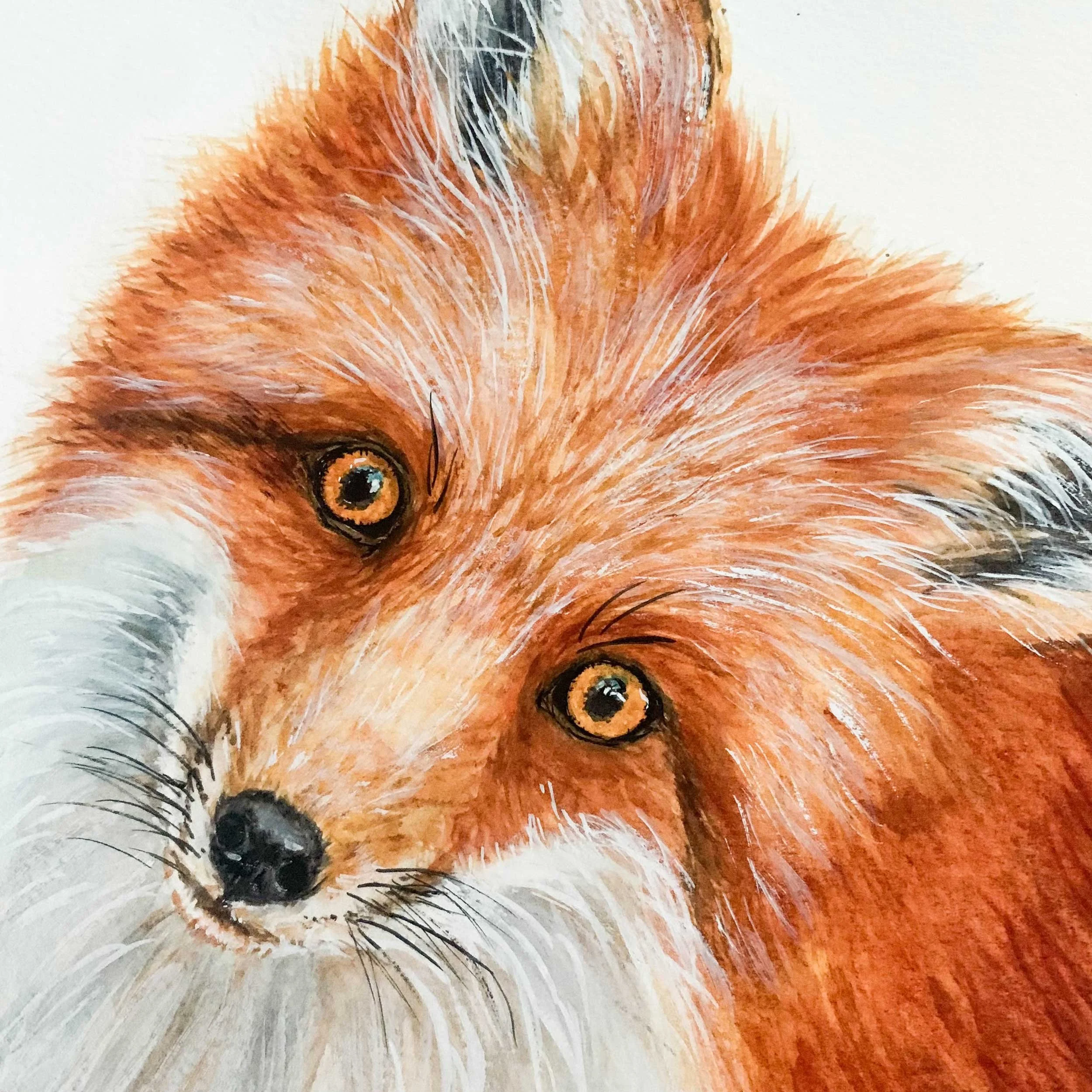 red-fox-head-tilt-painting_4.jpg