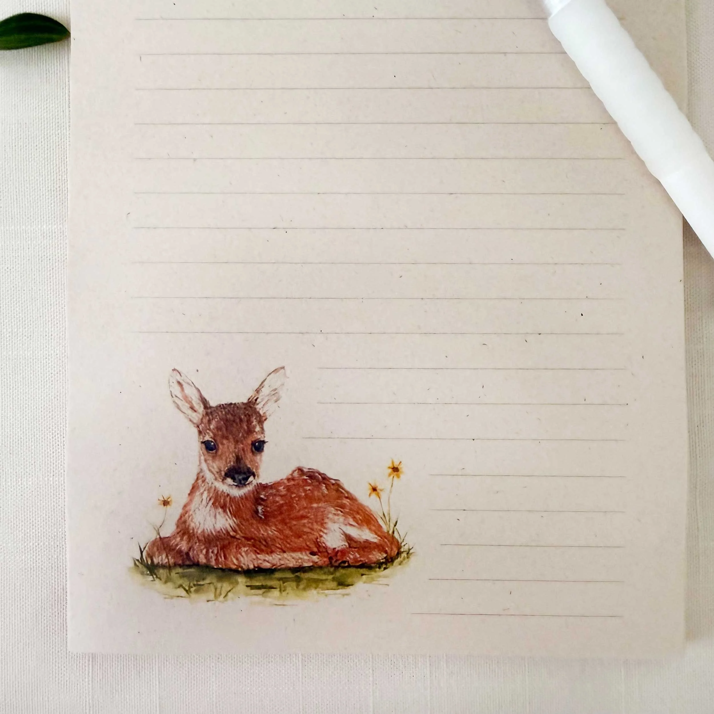 young-fawn-laying-down_notepad_3.jpg