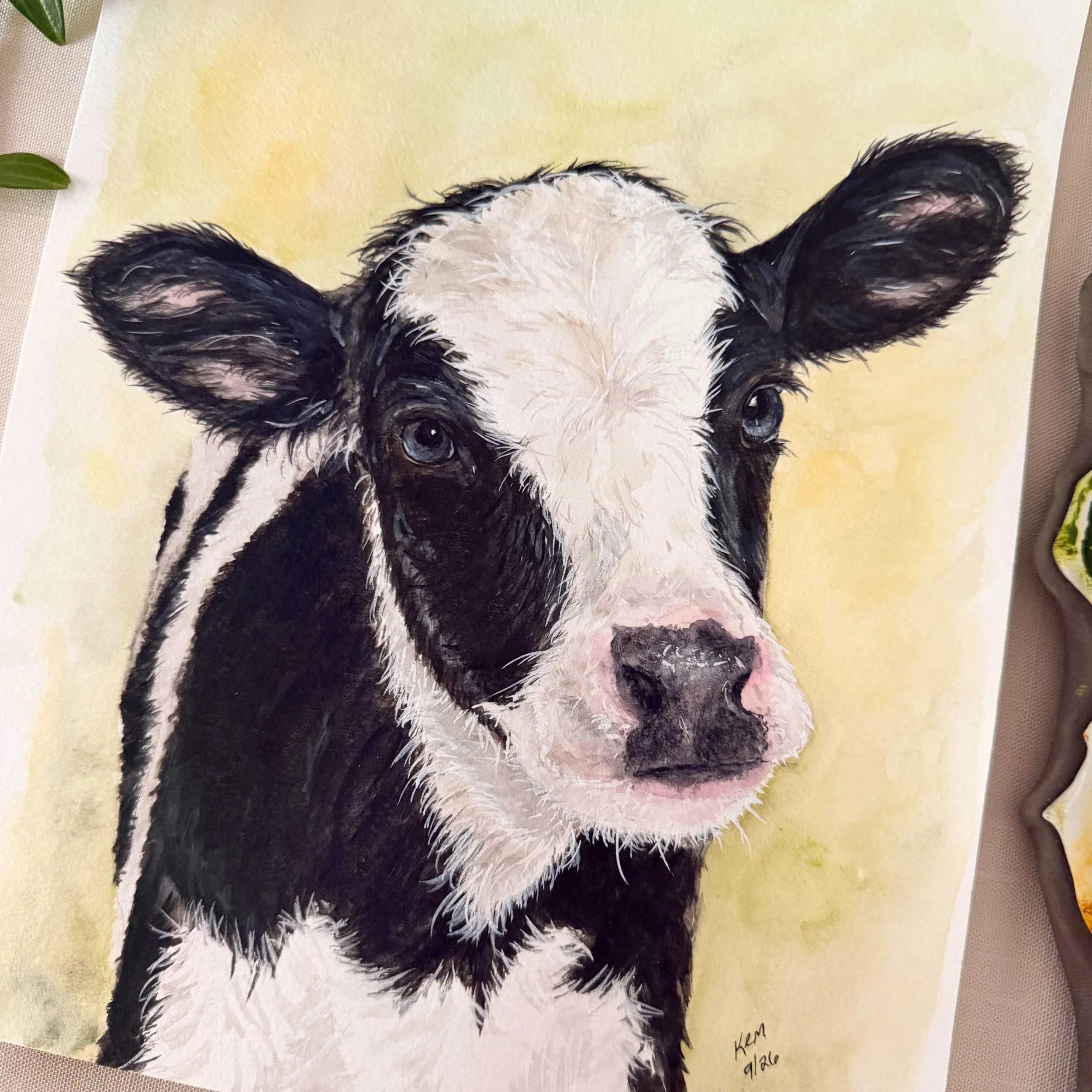 baby-black-white-cow-painting_2.jpg