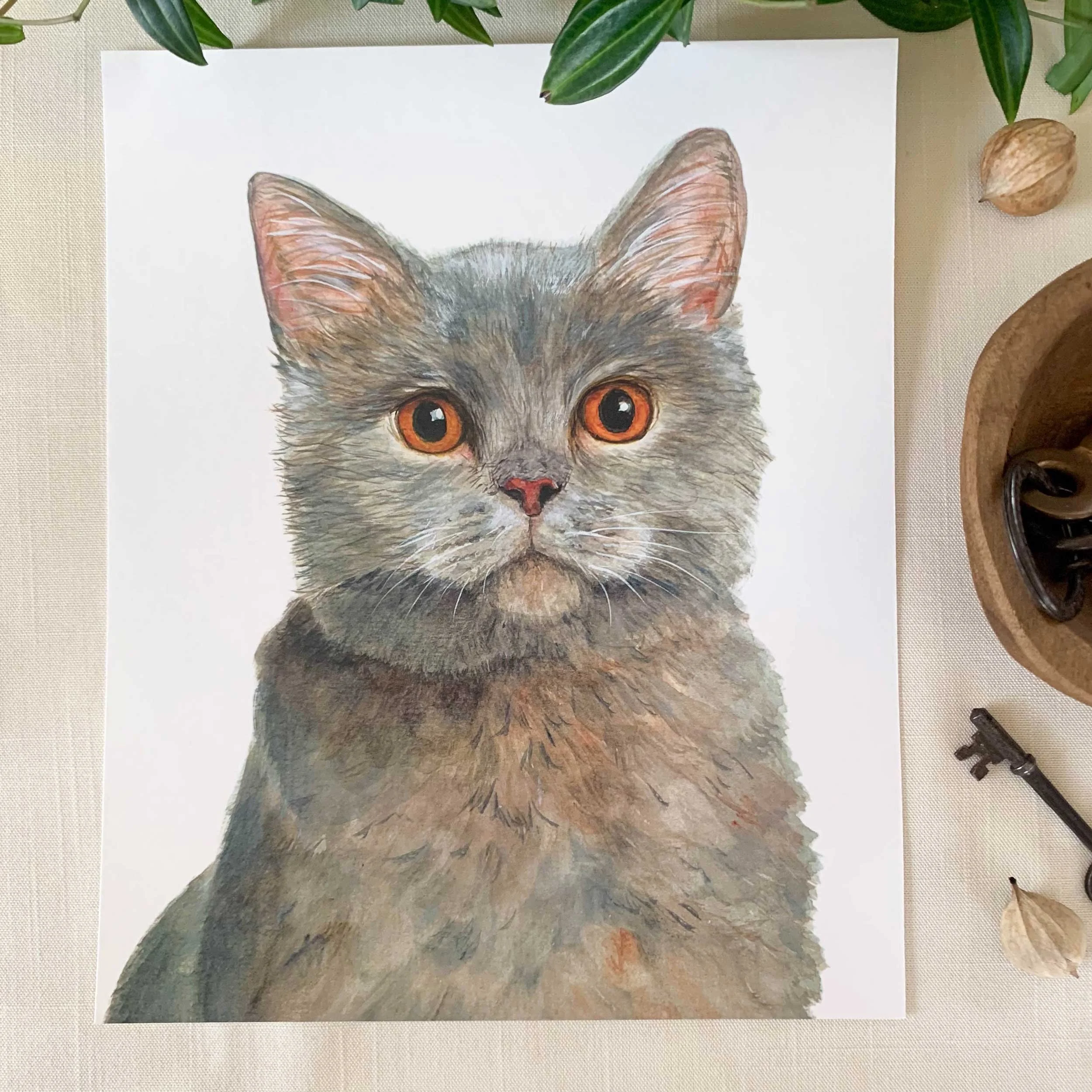 British Short Hair Cat Art Print