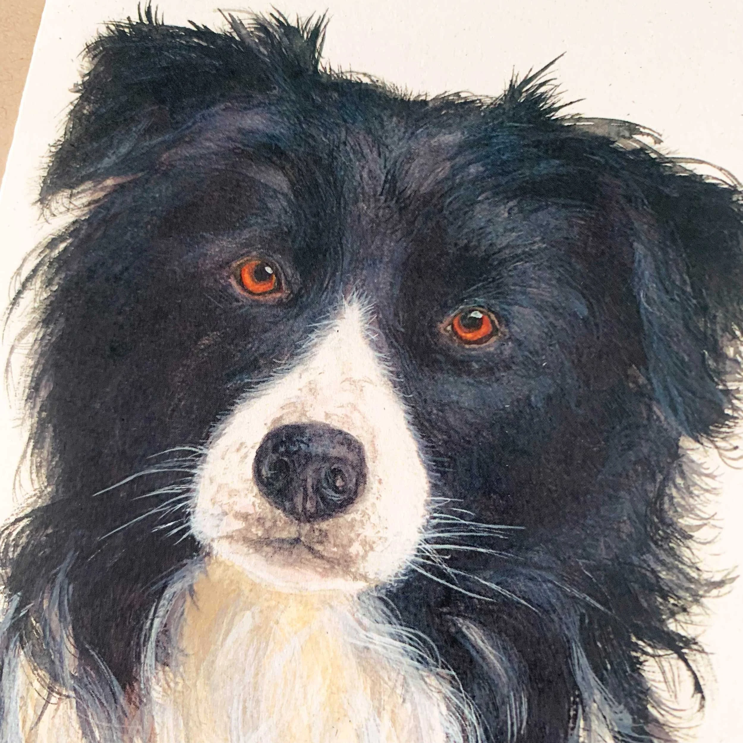 border-collie-greeting-card_3.jpg