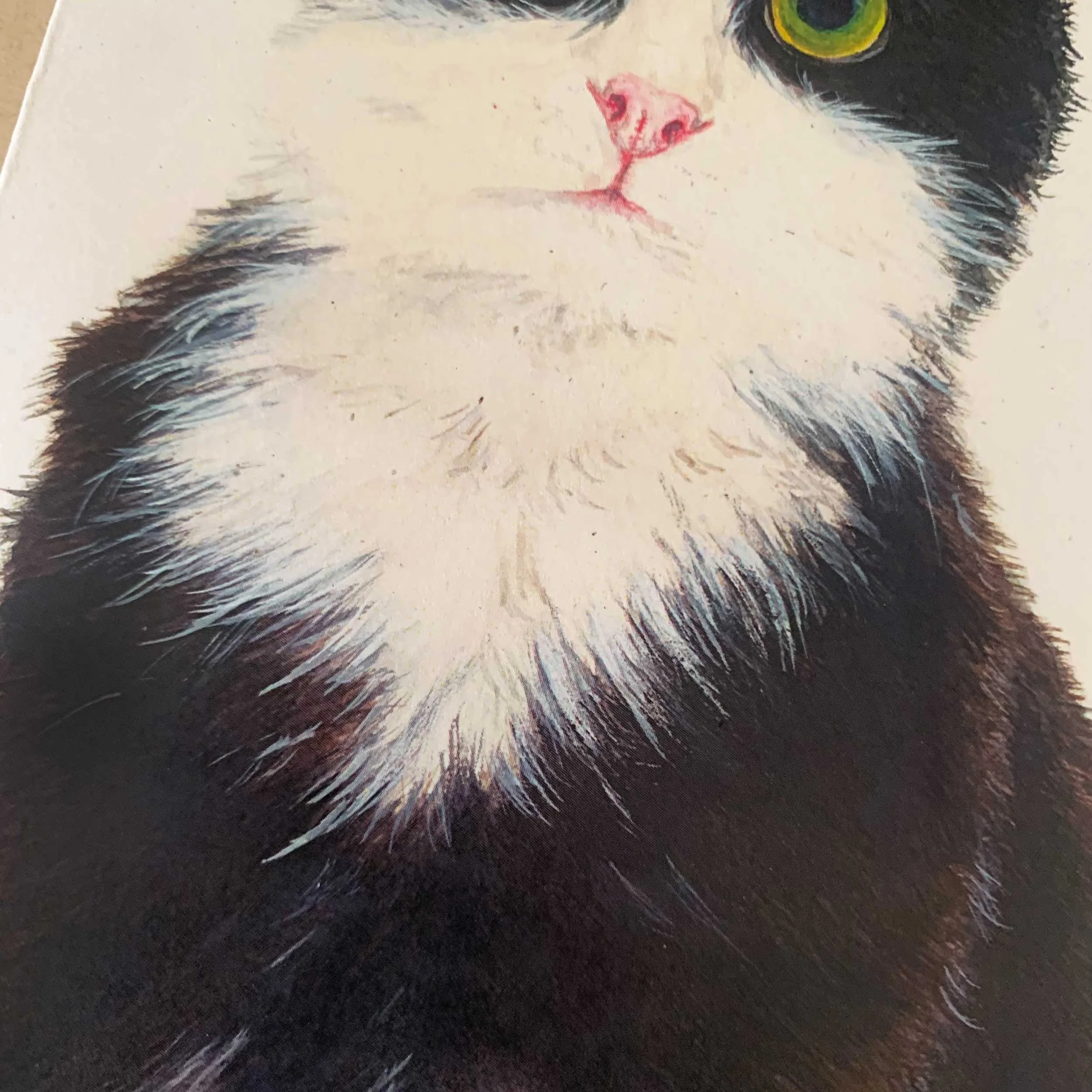 Black-white-cat-greeting-card_4.jpg