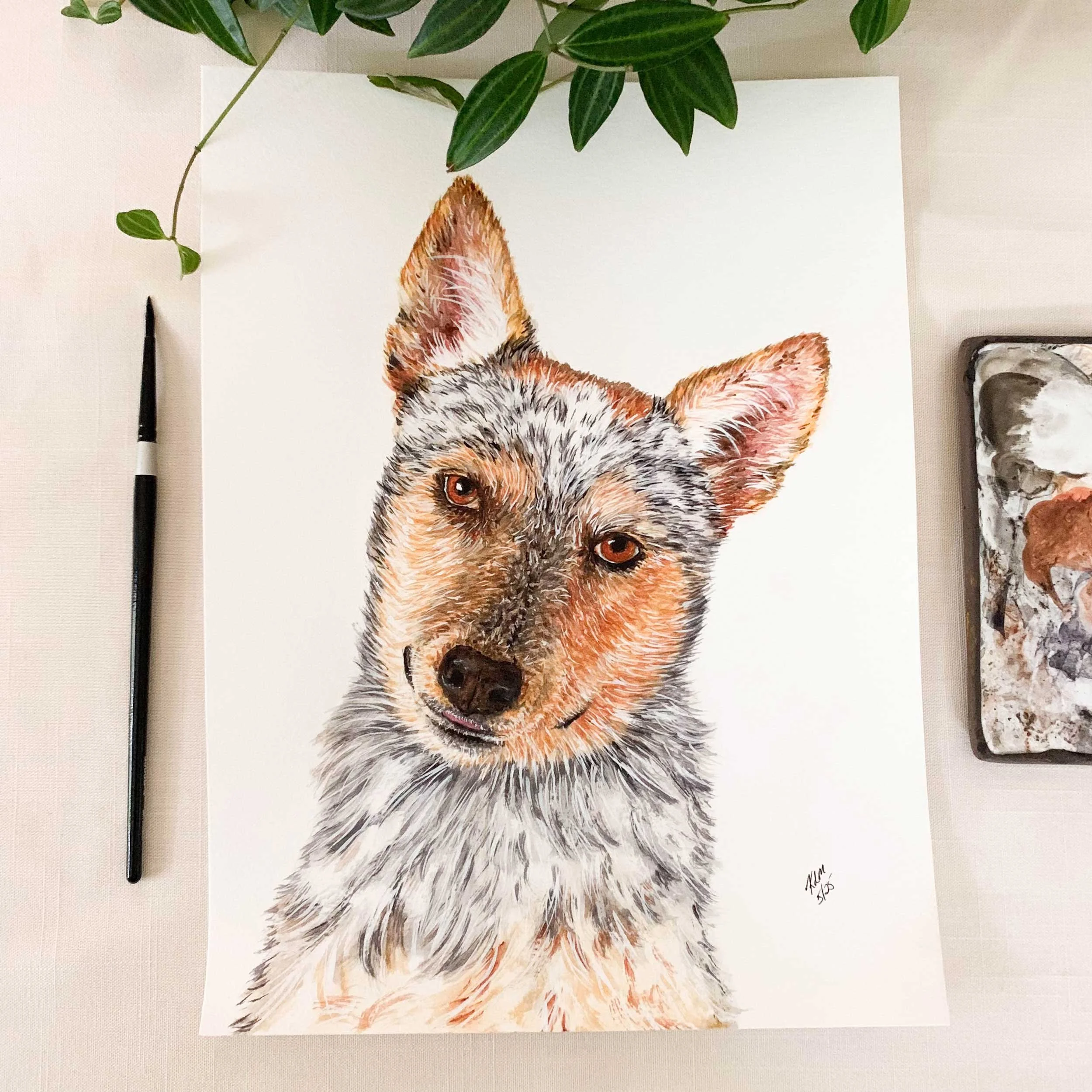Australian Cattle Dog Original Painting