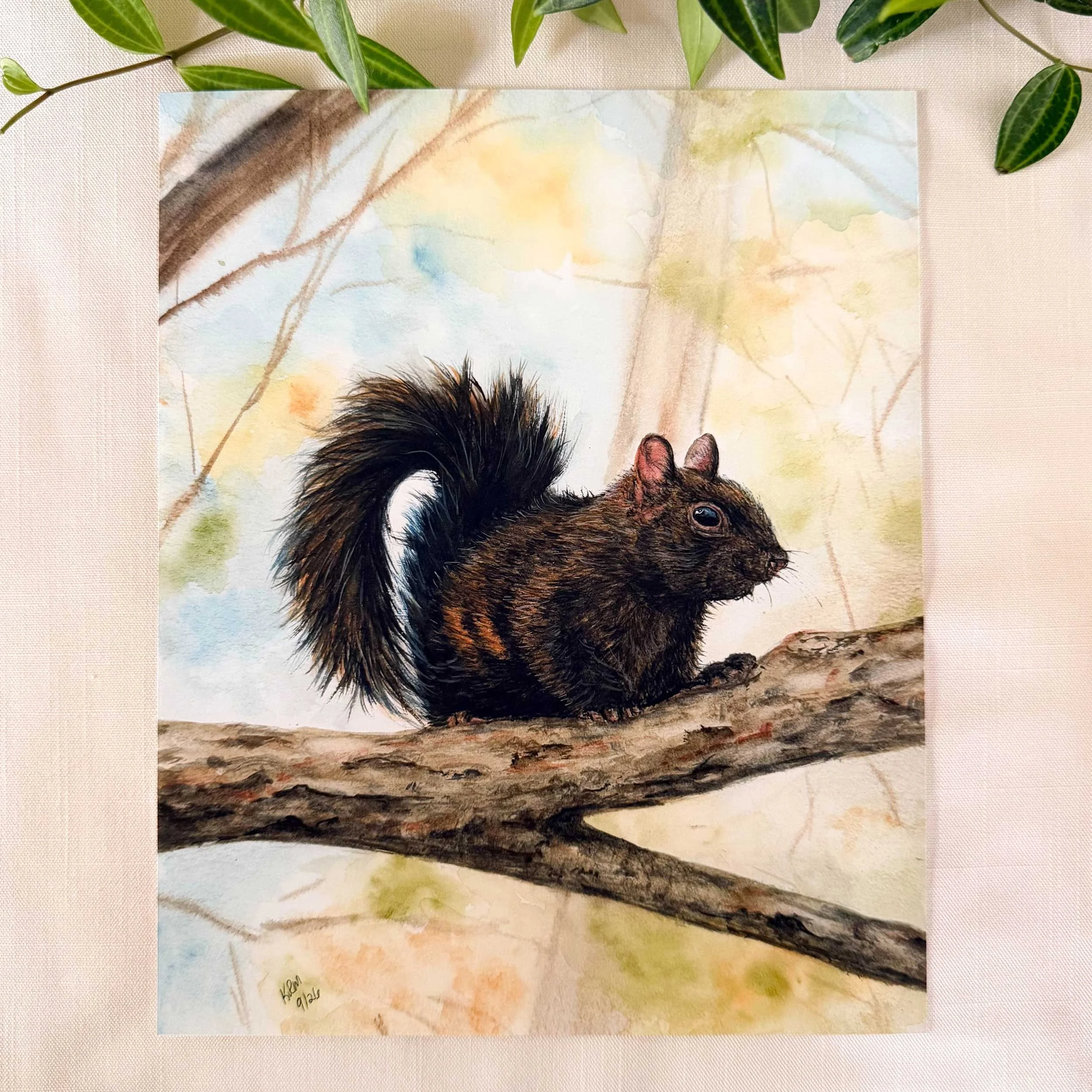 autumn-black-squirrel-art-print_1.jpg
